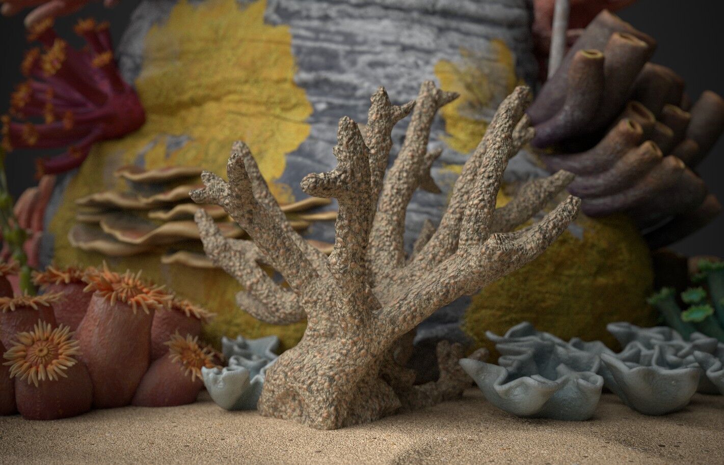 Coral reef 3D model_10