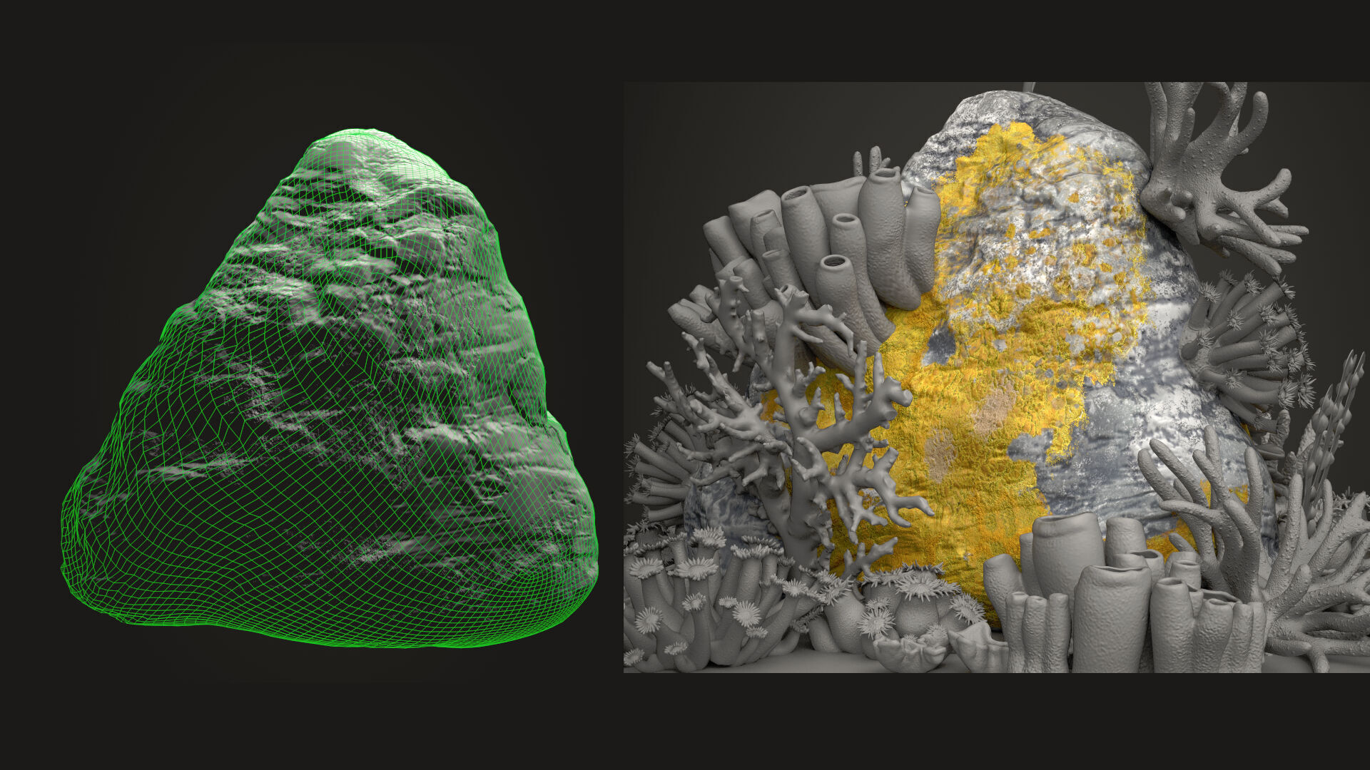 Coral reef 3D model_22