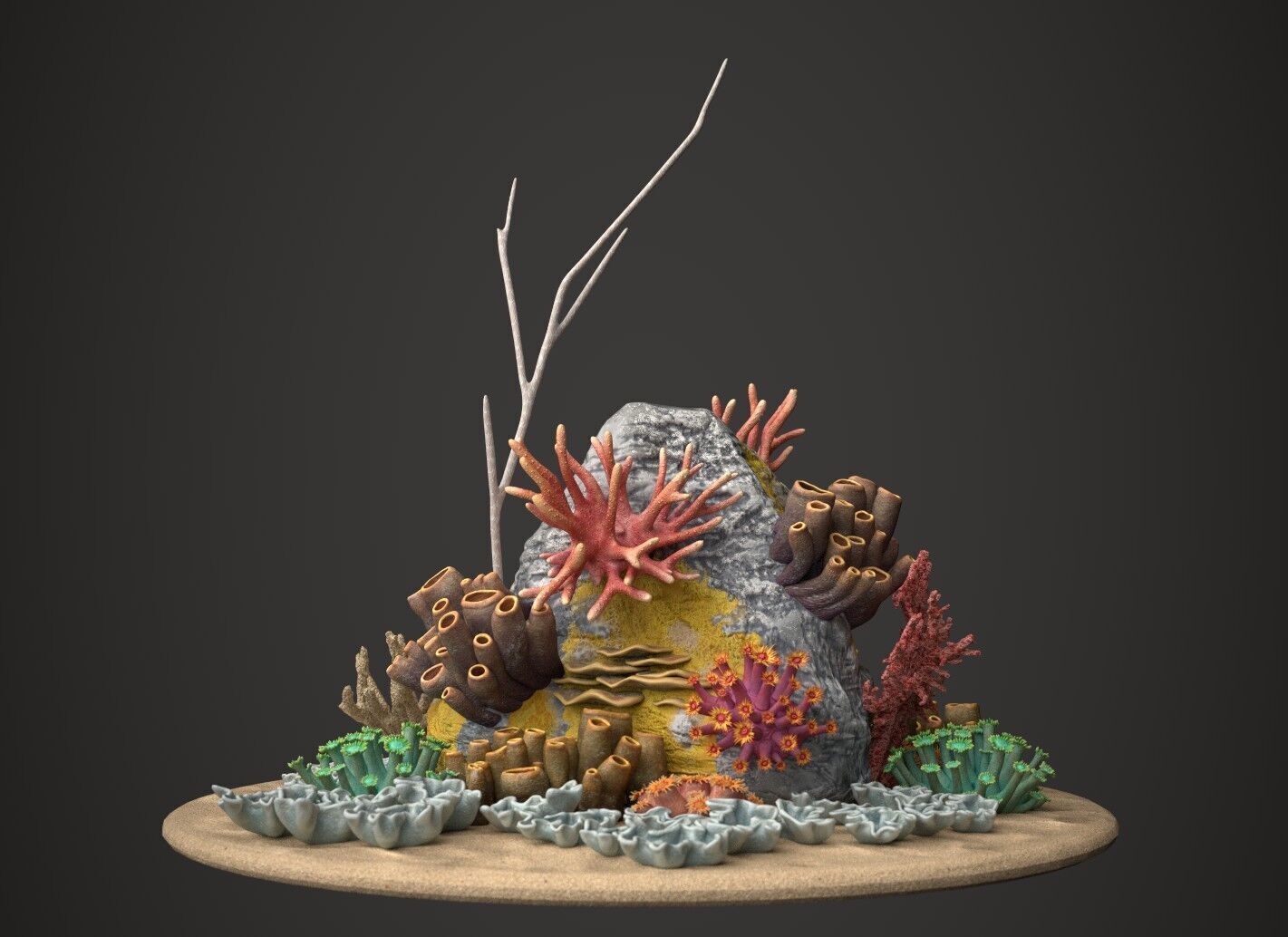Coral reef 3D model_6