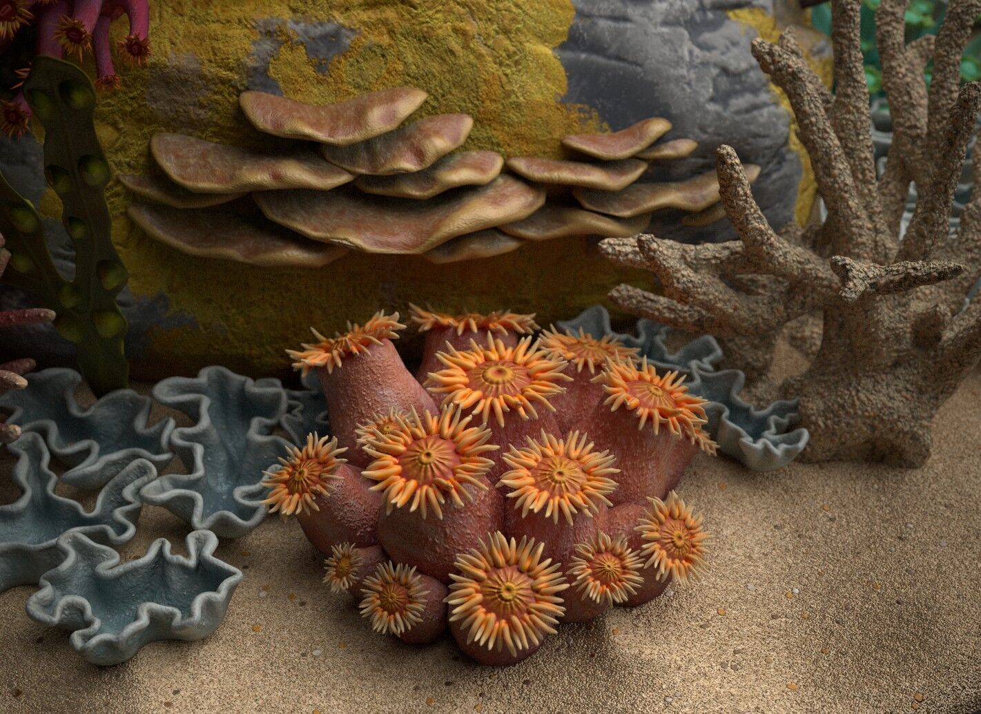 Coral reef 3D model_3