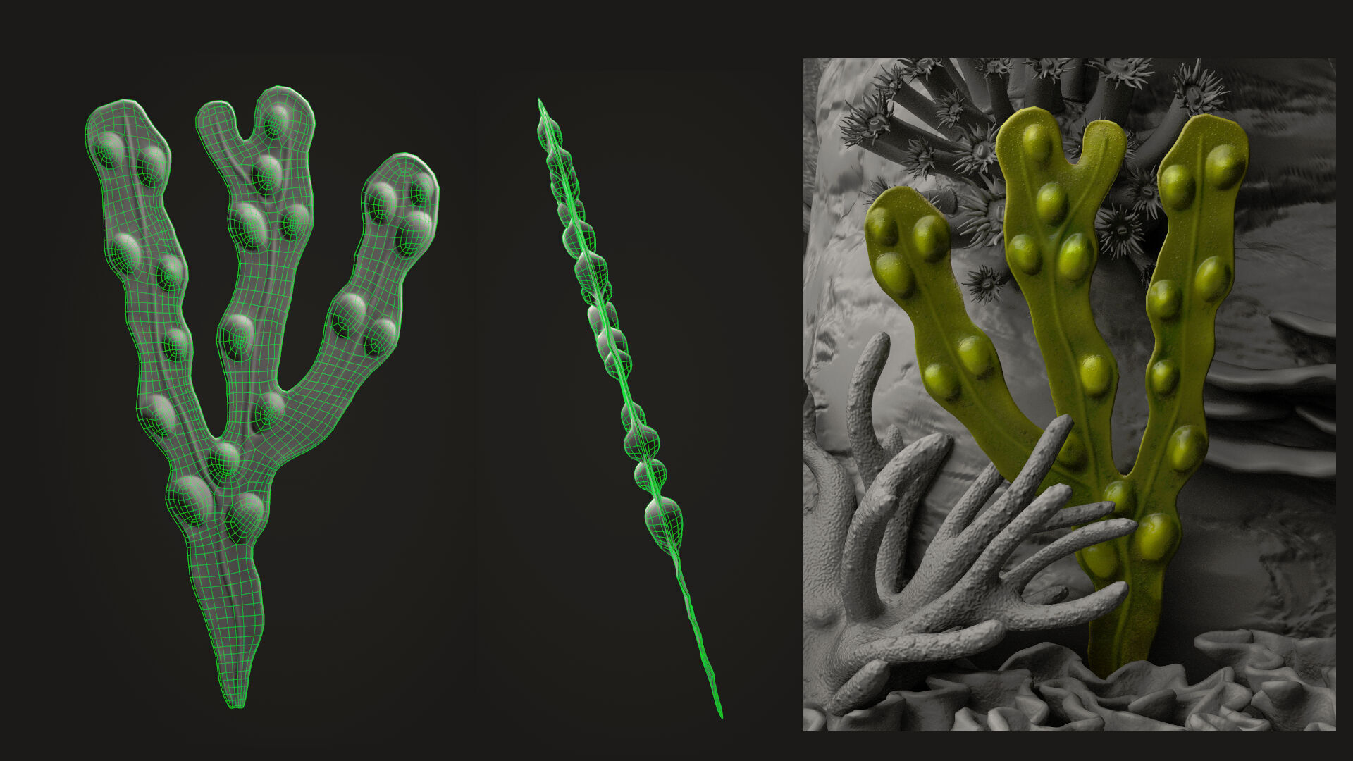 Coral reef 3D model_18