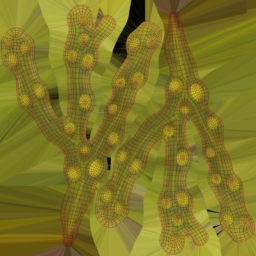 Coral reef 3D model_27