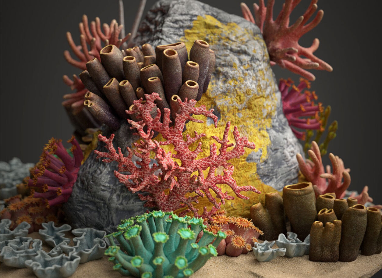 Coral reef 3D model_0