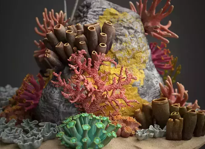 Coral reef 3D model