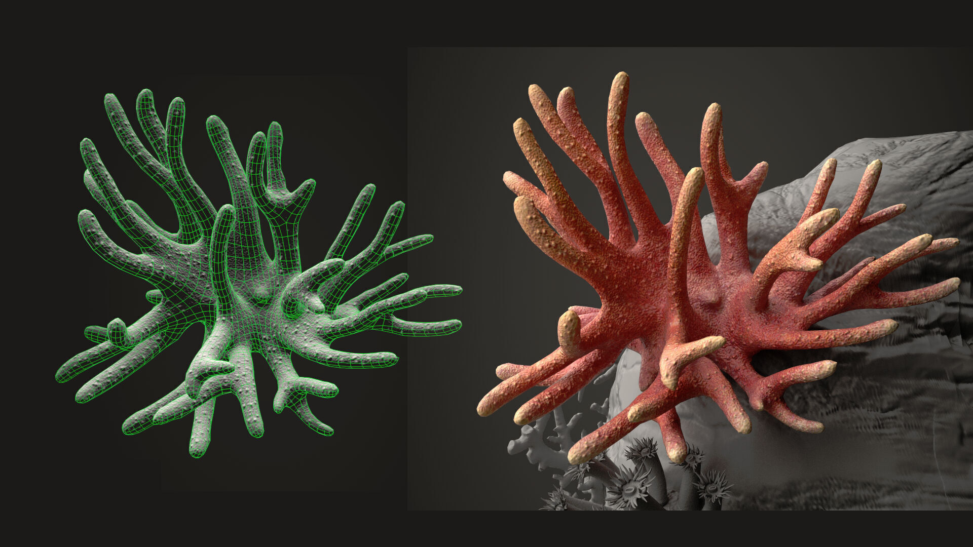 Coral reef 3D model_21