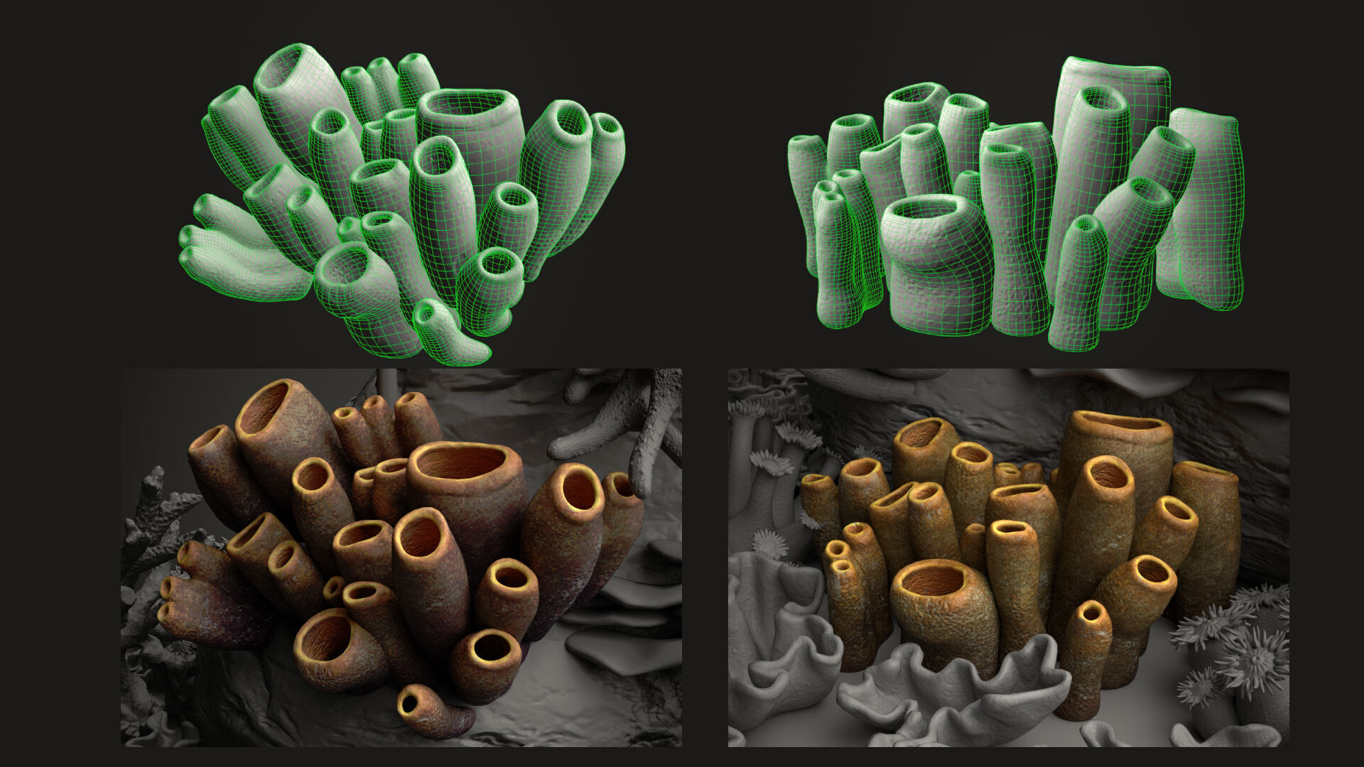 Coral reef 3D model_13
