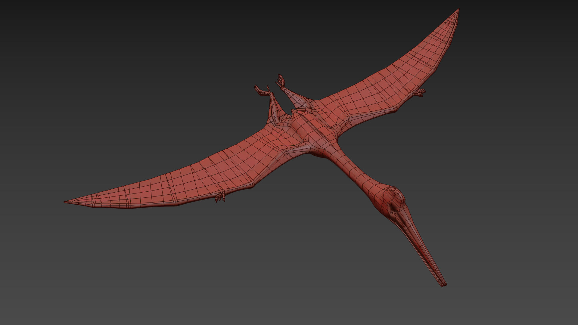 Quetzalcoatlus HD - 3d animated model Low-poly 3D model_15