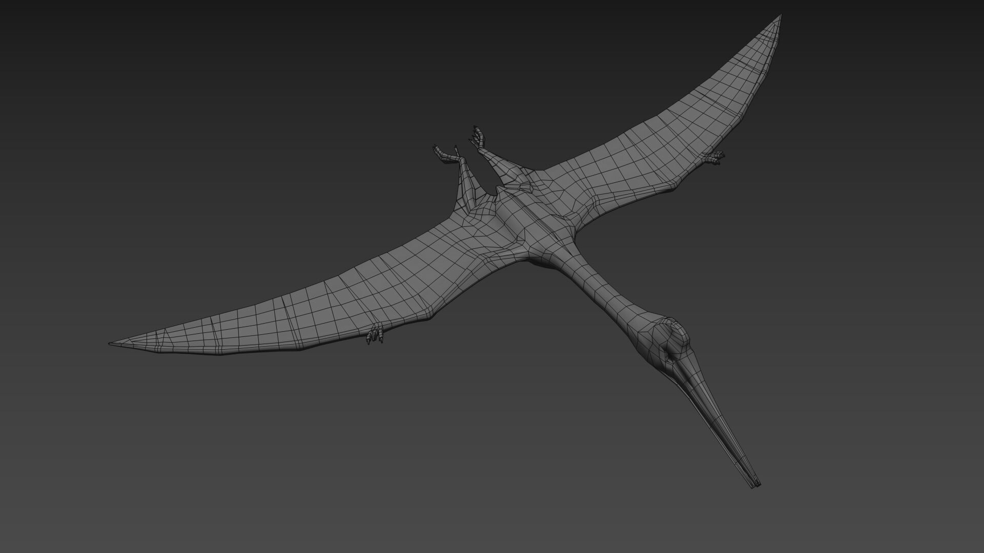 Quetzalcoatlus HD - 3d animated model Low-poly 3D model_16
