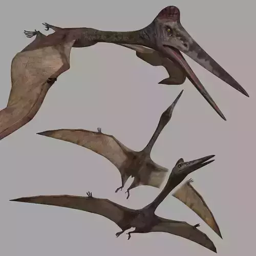 Quetzalcoatlus HD - 3d animated model Low-poly 3D model