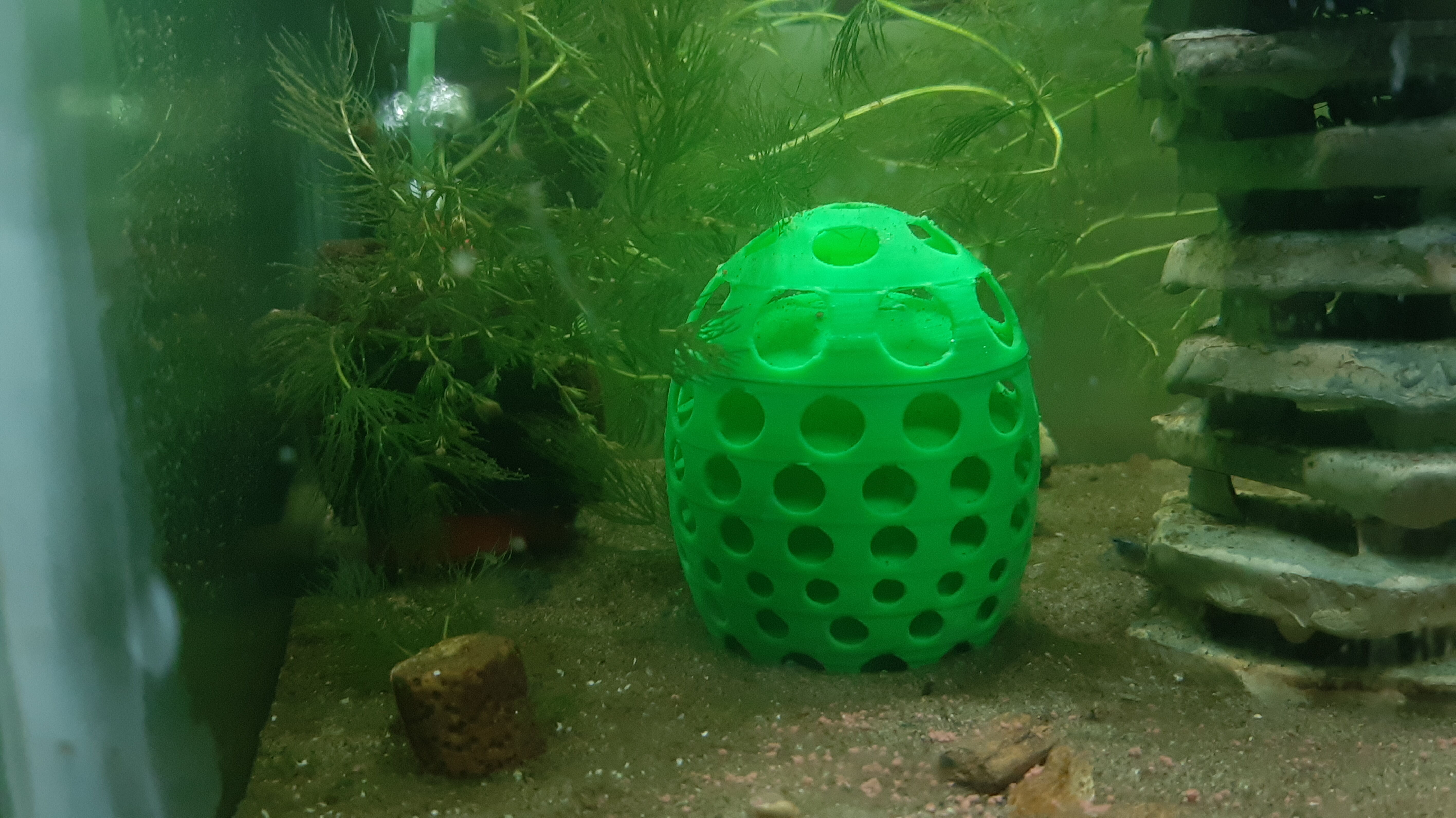 Shrimp Breeding Place 3D print model_32