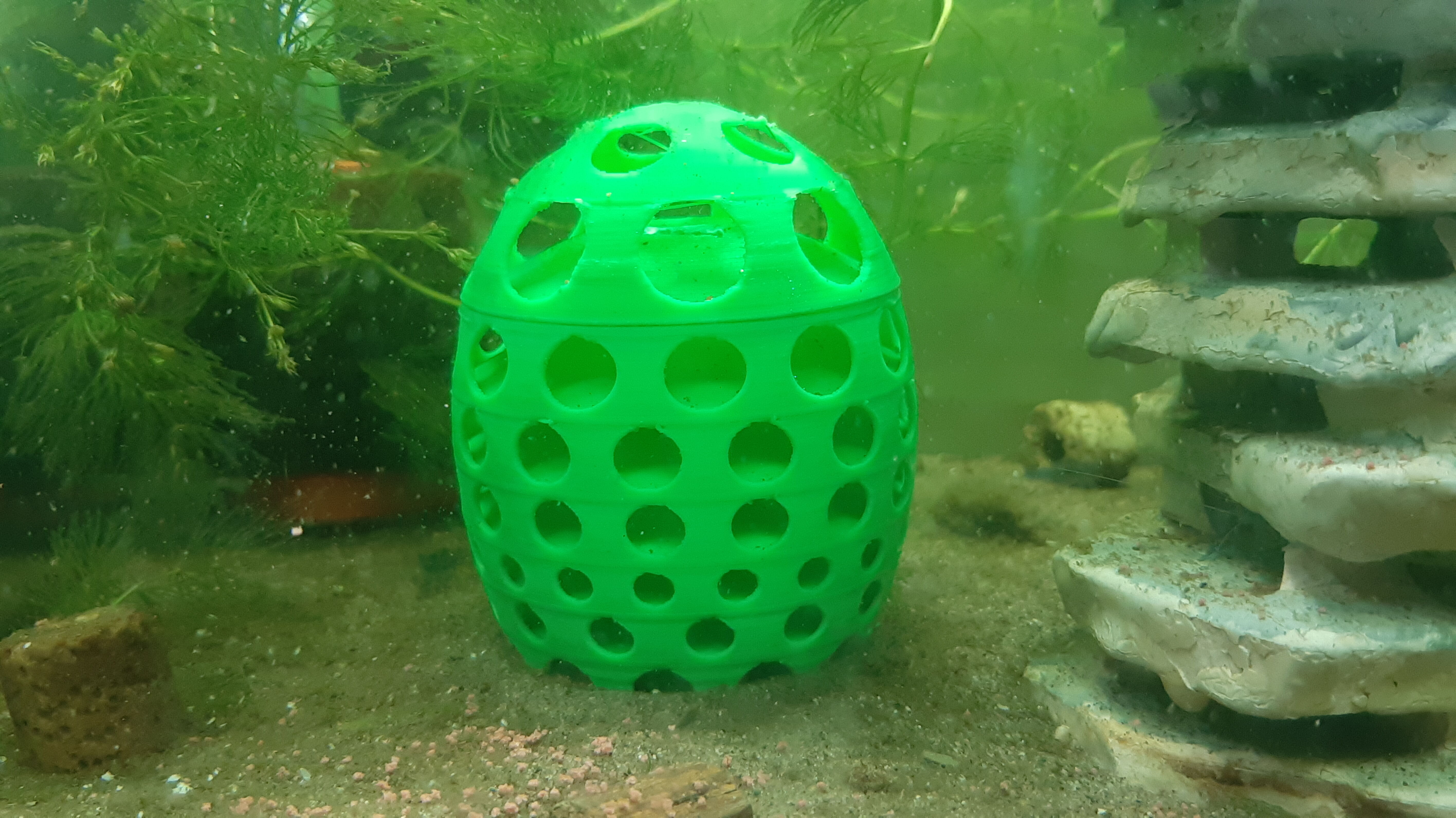 Shrimp Breeding Place 3D print model_31