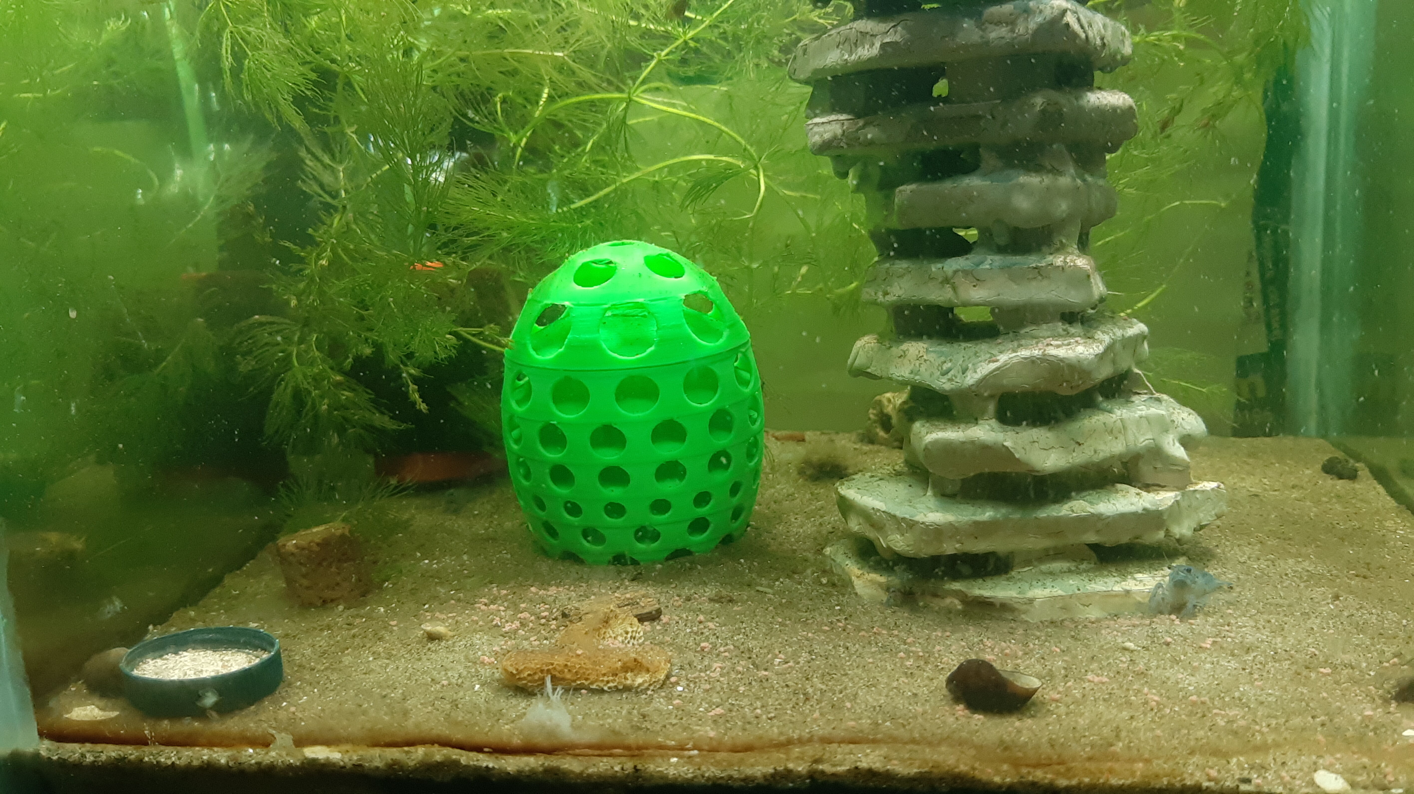 Shrimp Breeding Place 3D print model_1