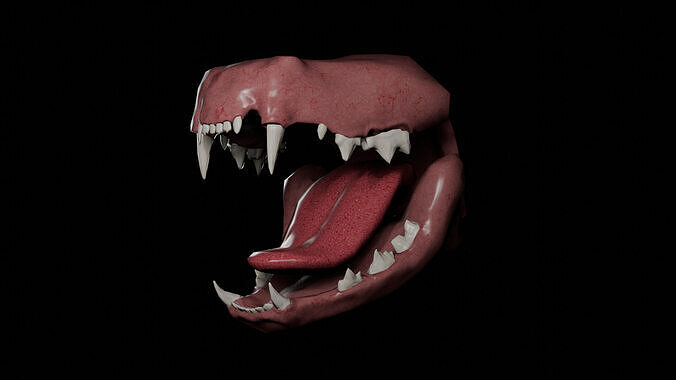 Cat Teeth Low-poly 3D model
