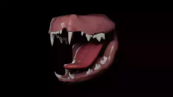 Cat Teeth Low-poly 3D model