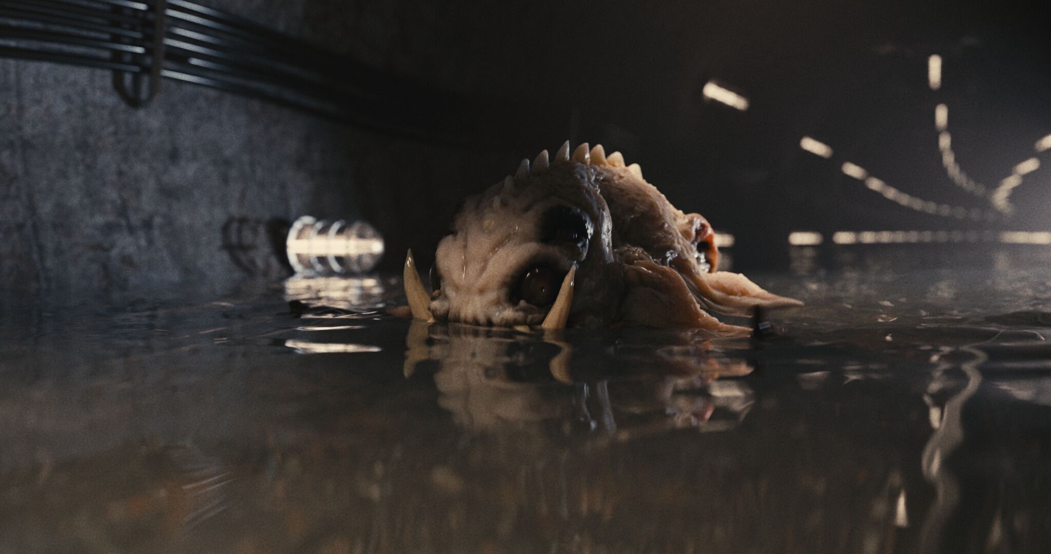 Lizard Demon Blender 3D model_12