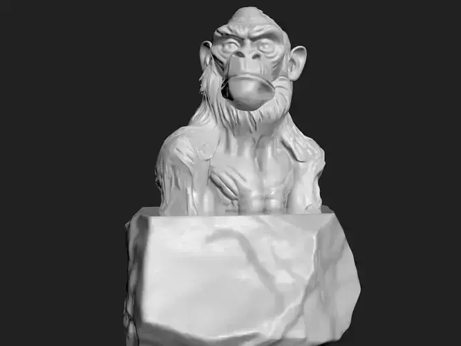 MONKEY BUST 3D print model