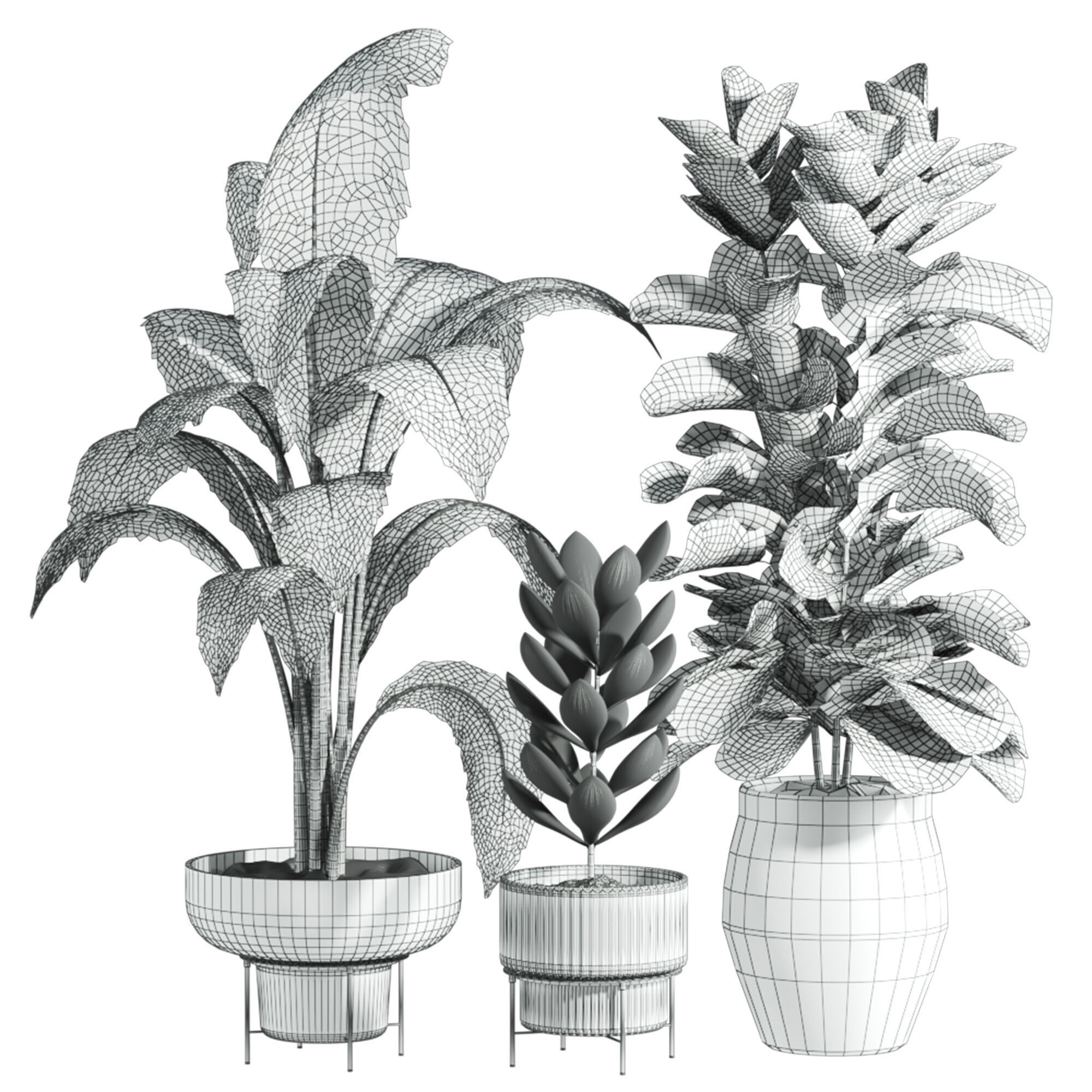 Plants 3D model_4