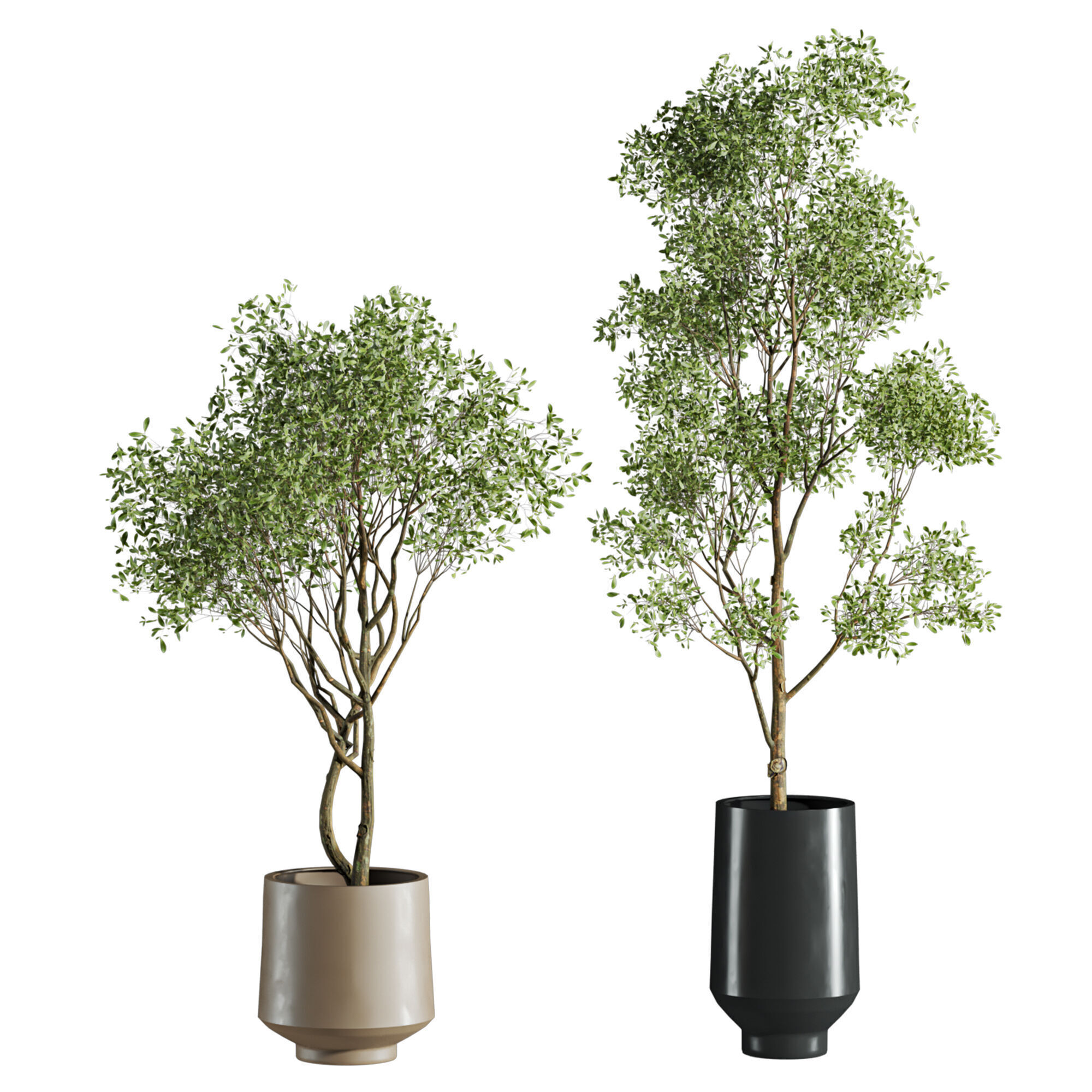 tree plants set 3D model_2
