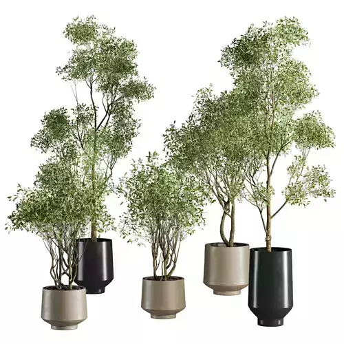 tree plants set 3D model