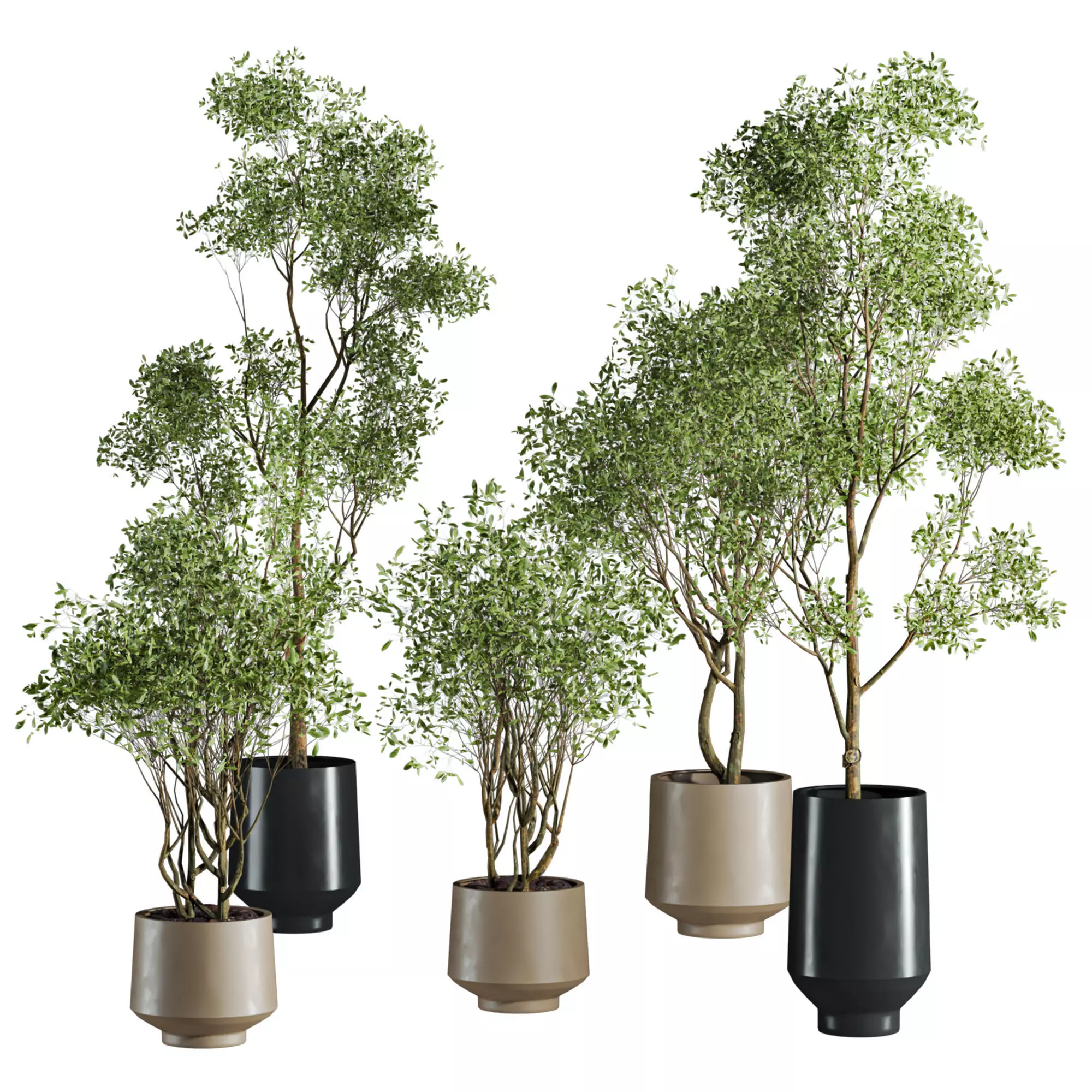 tree plants set 3D model_0