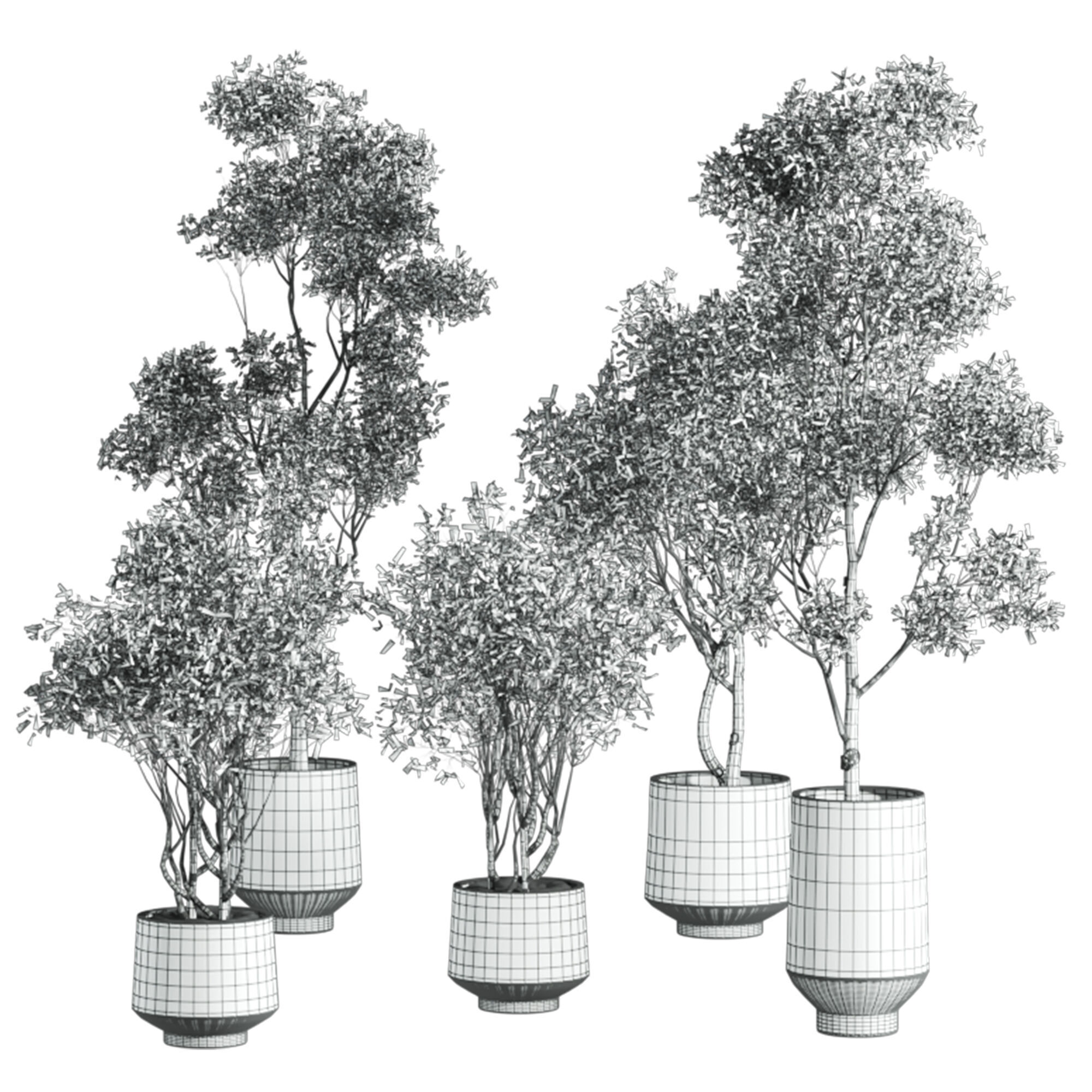 tree plants set 3D model_3