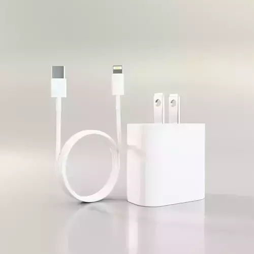Apple iPhone charger