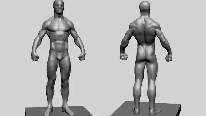 Base Male Body A