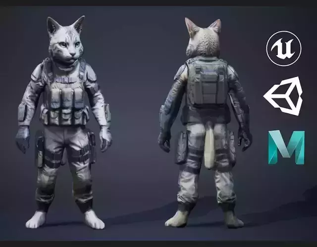 Cat Soldier 2