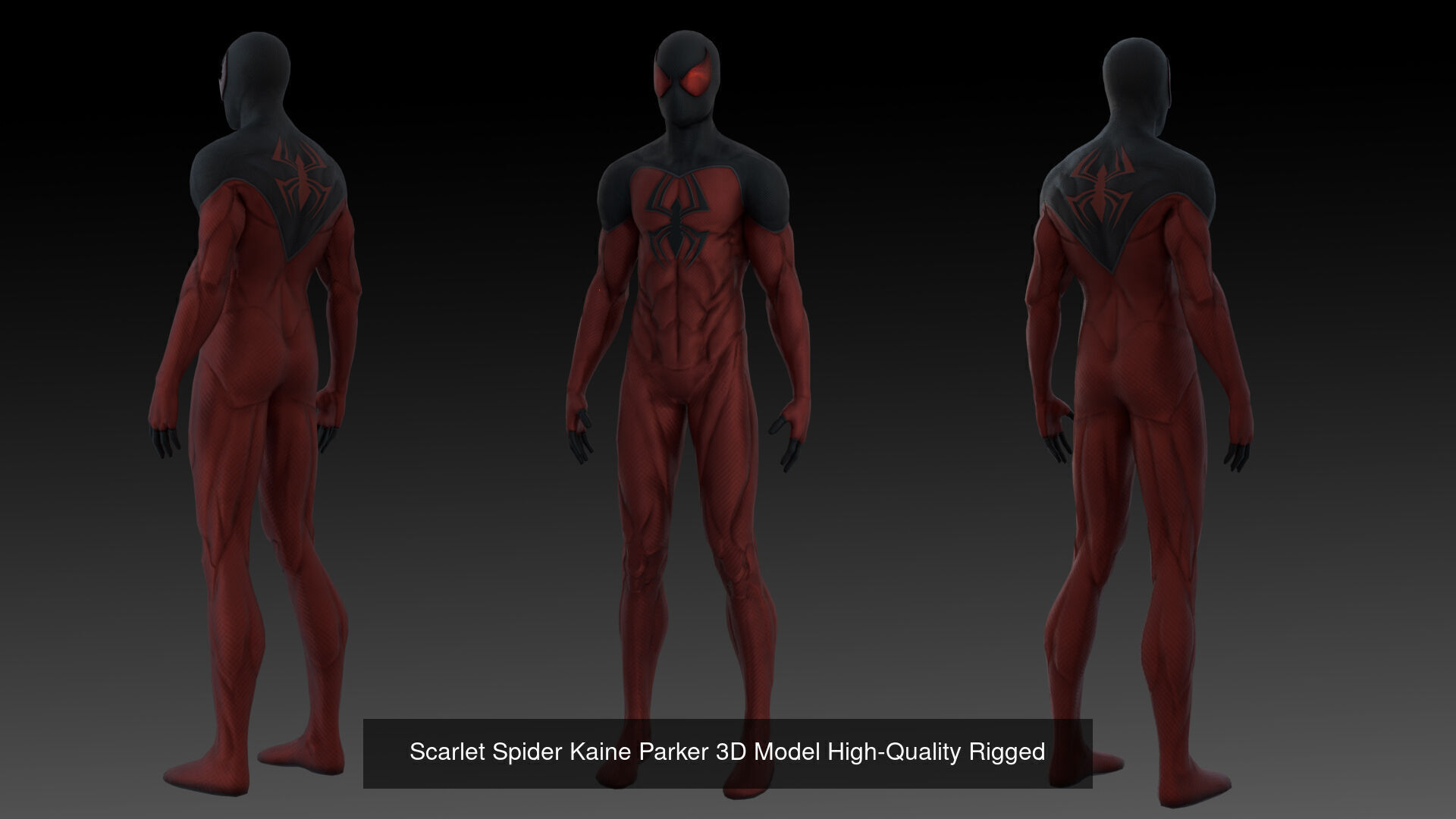 Ultimate Spider-Verse 3D Model Collection 12 Spider-Man Variants _12