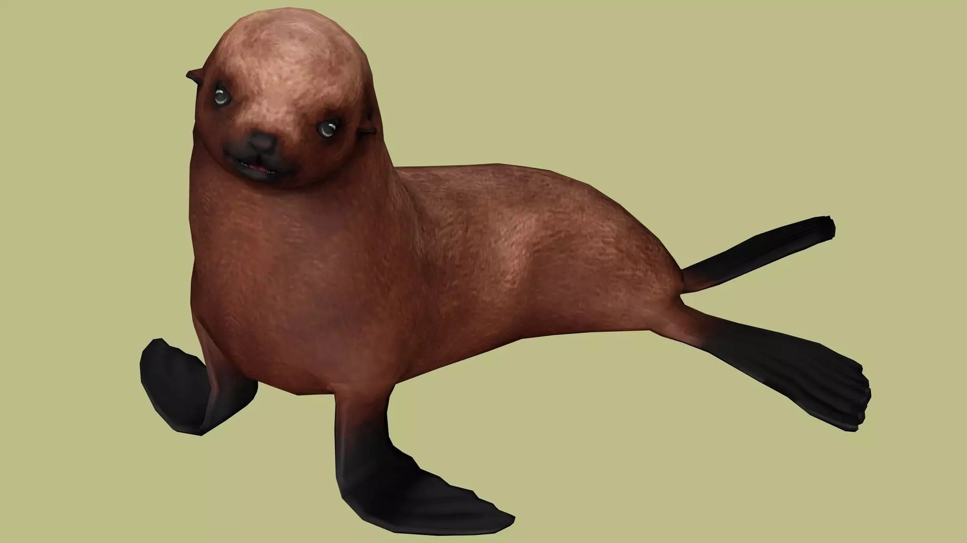 SEAL RIGGED ANIMATED 3 Low-poly 3D model_0