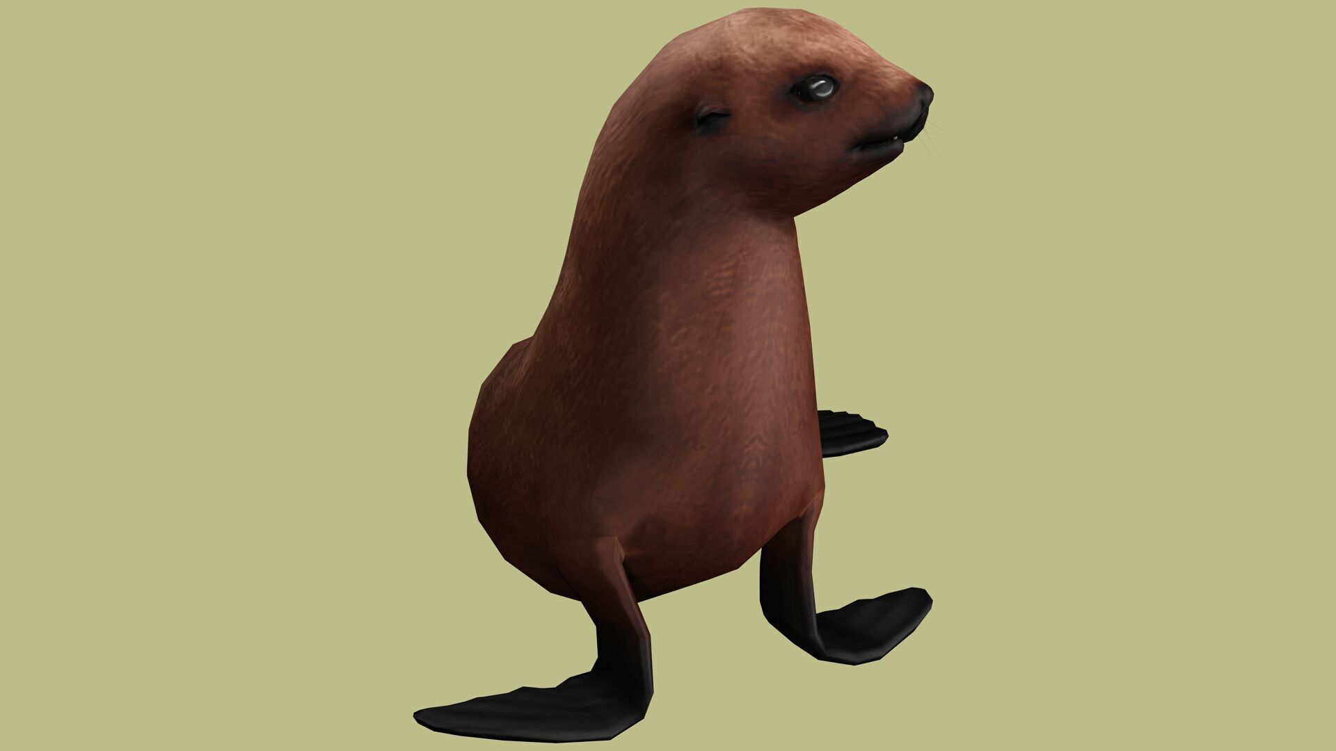 SEAL RIGGED ANIMATED 3 Low-poly 3D model_5