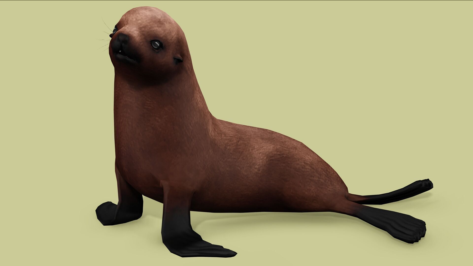 SEAL RIGGED ANIMATED 3 Low-poly 3D model_1