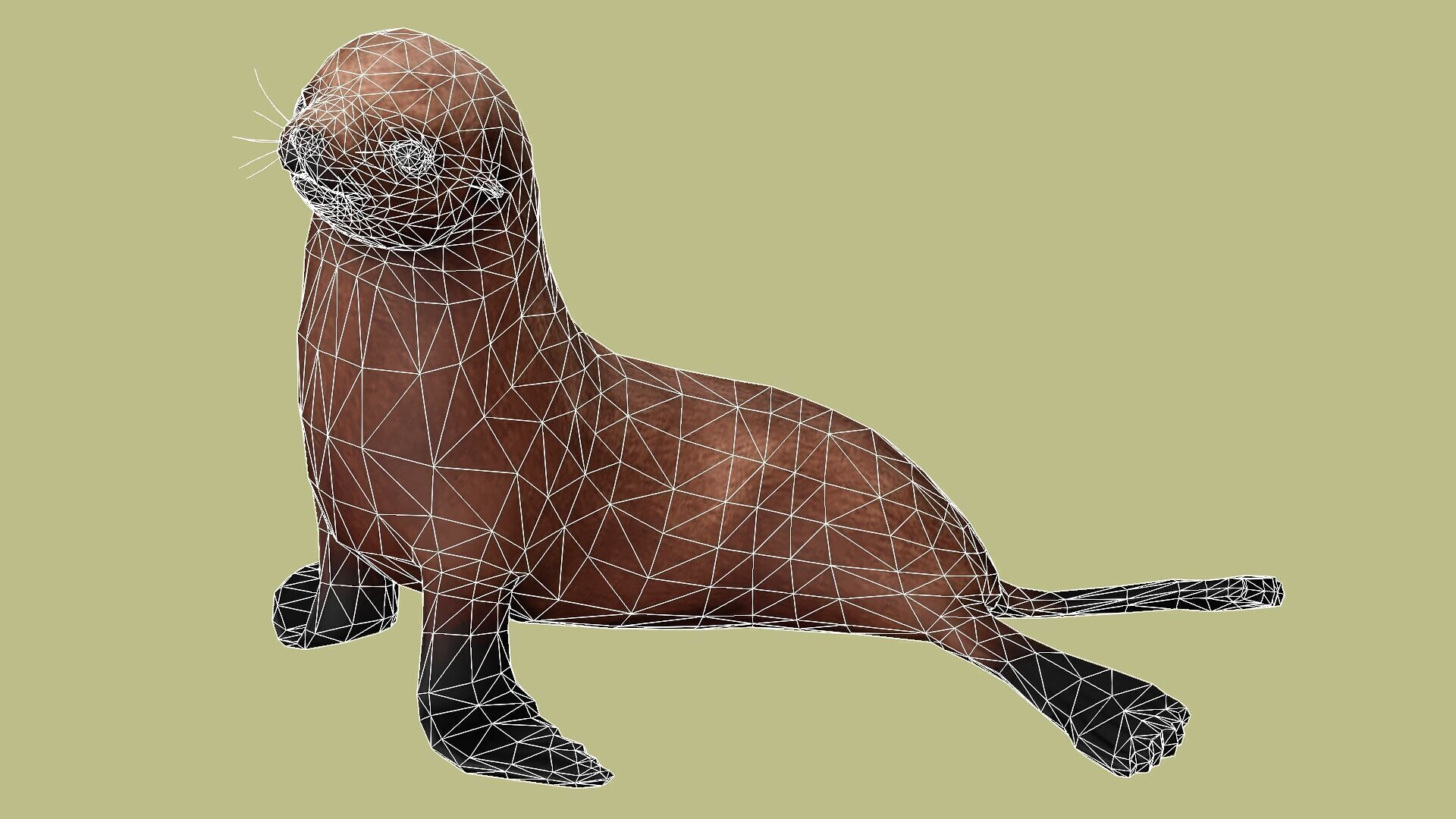 SEAL RIGGED ANIMATED 3 Low-poly 3D model_10