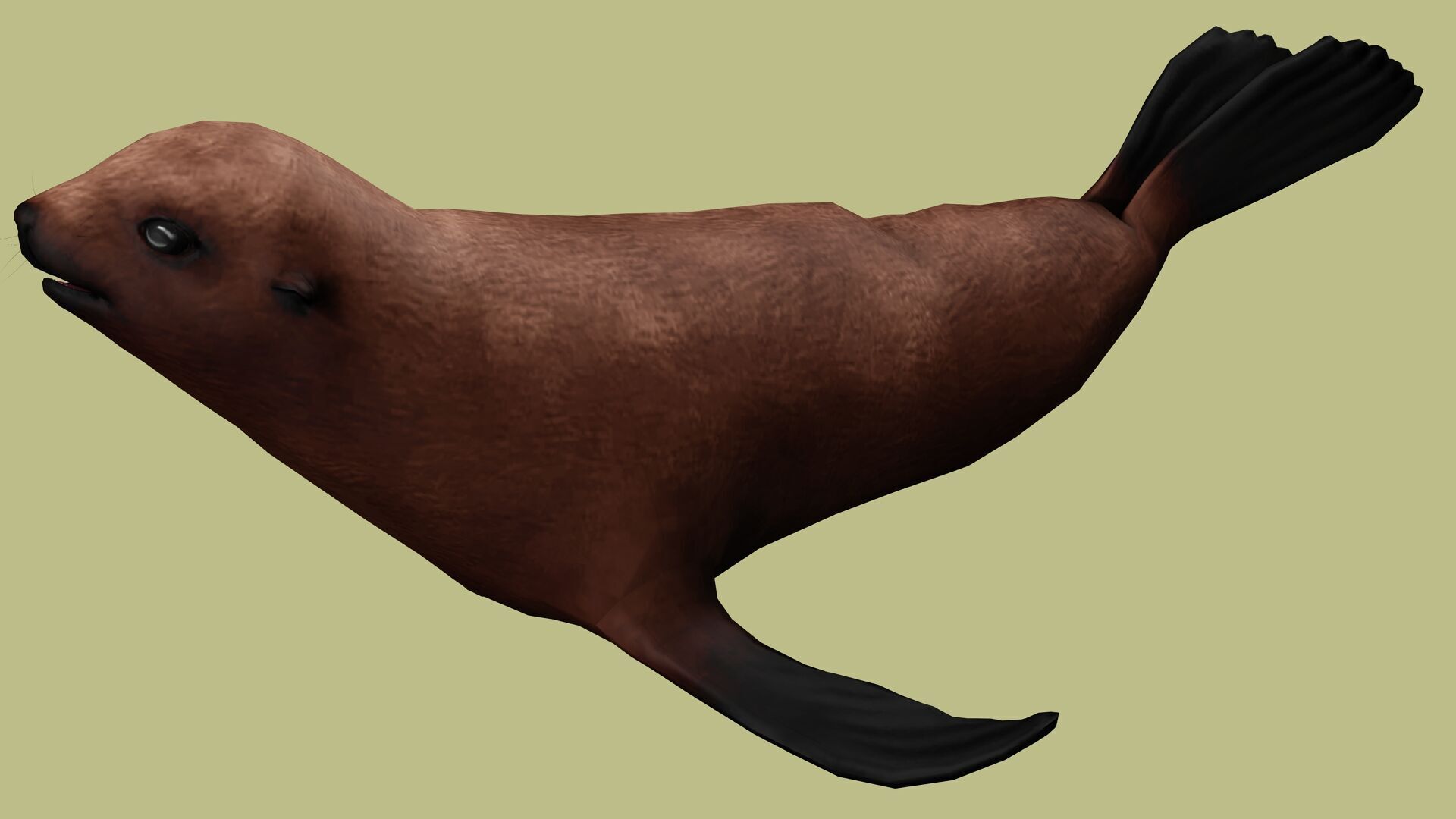 SEAL RIGGED ANIMATED 3 Low-poly 3D model_3