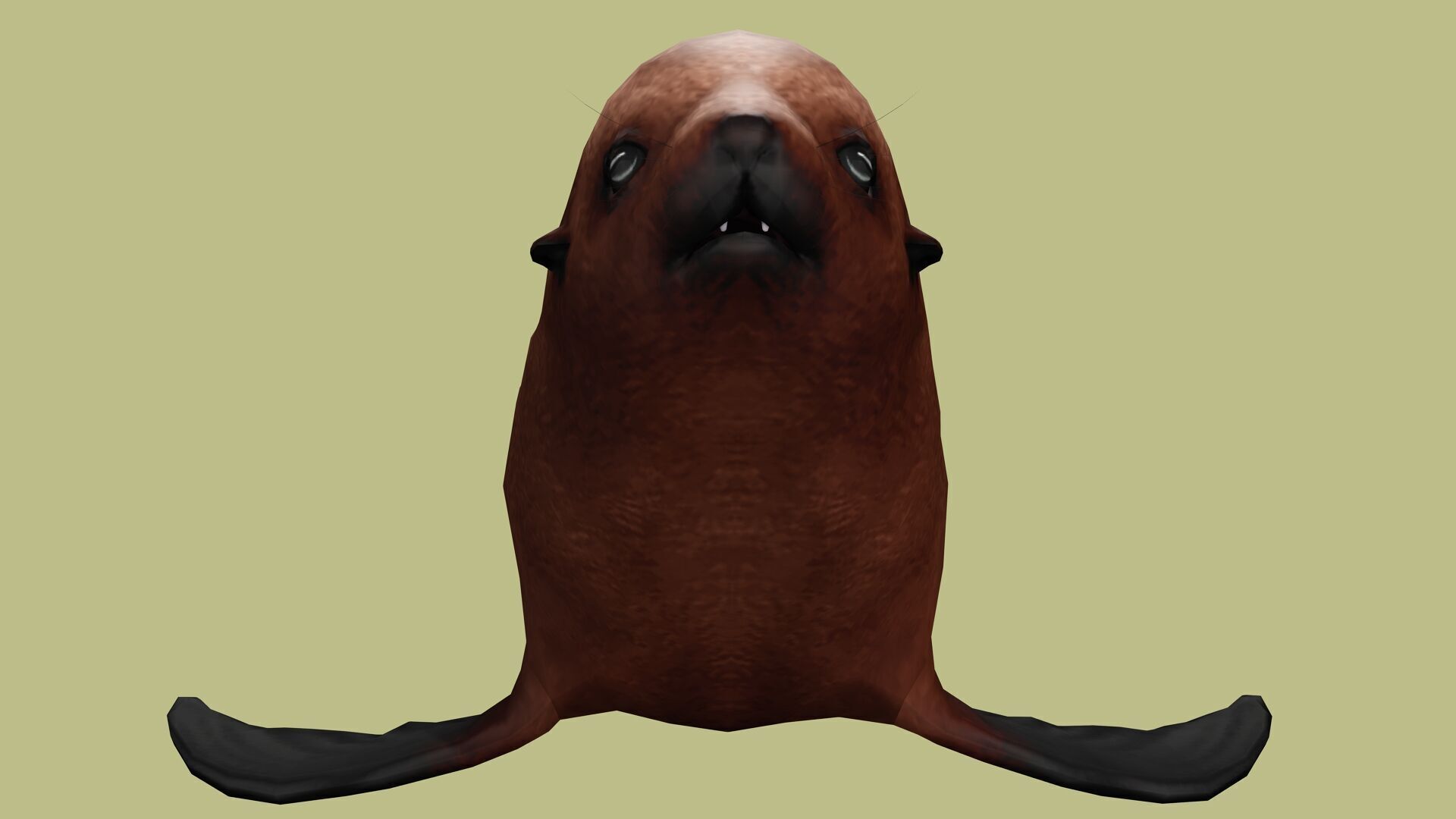 SEAL RIGGED ANIMATED 3 Low-poly 3D model_4