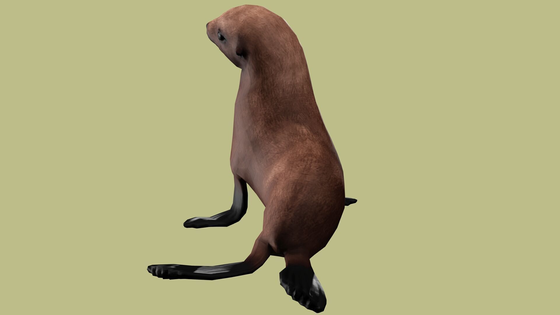 SEAL RIGGED ANIMATED 3 Low-poly 3D model_6