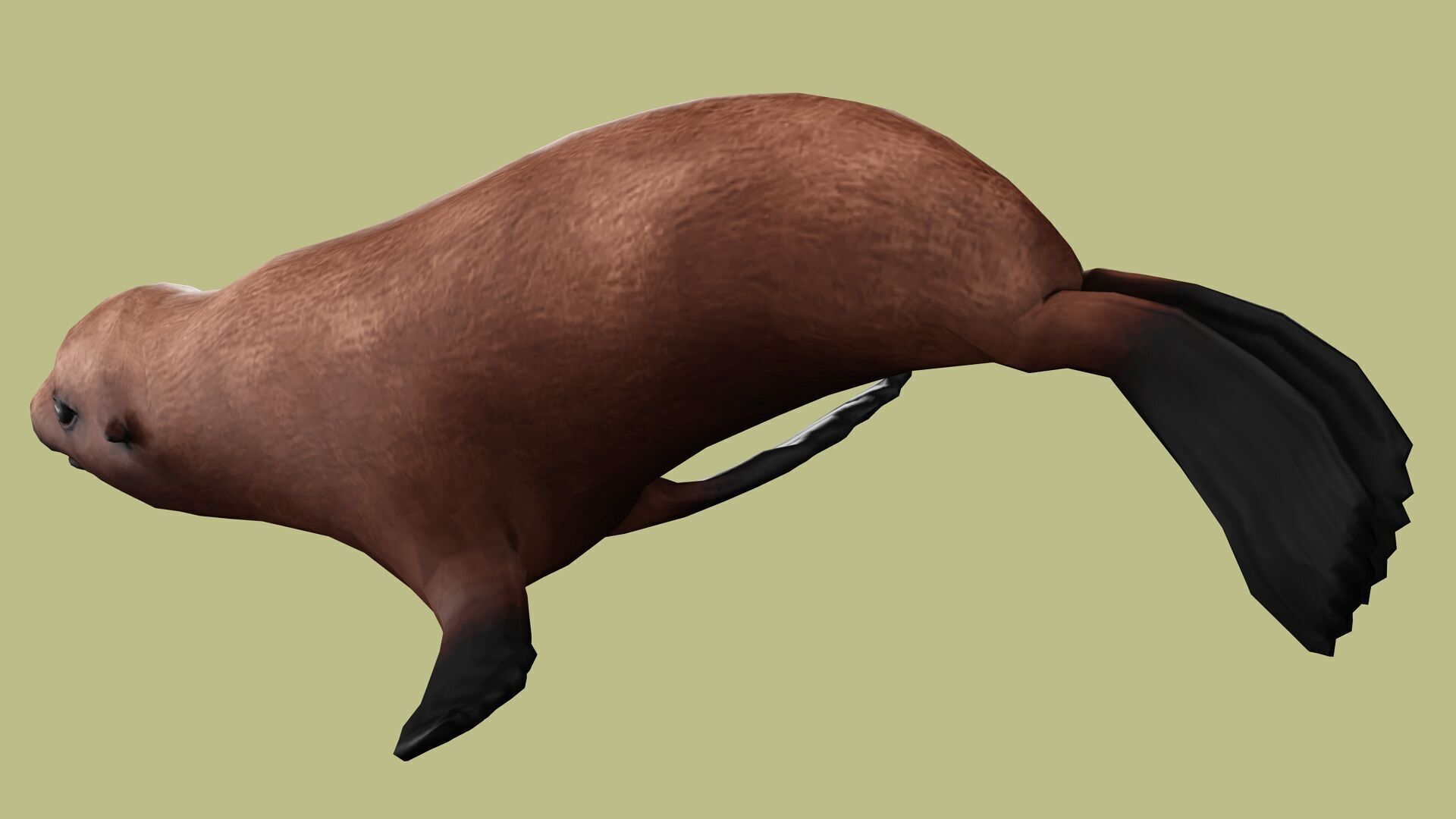 SEAL RIGGED ANIMATED 3 Low-poly 3D model_7