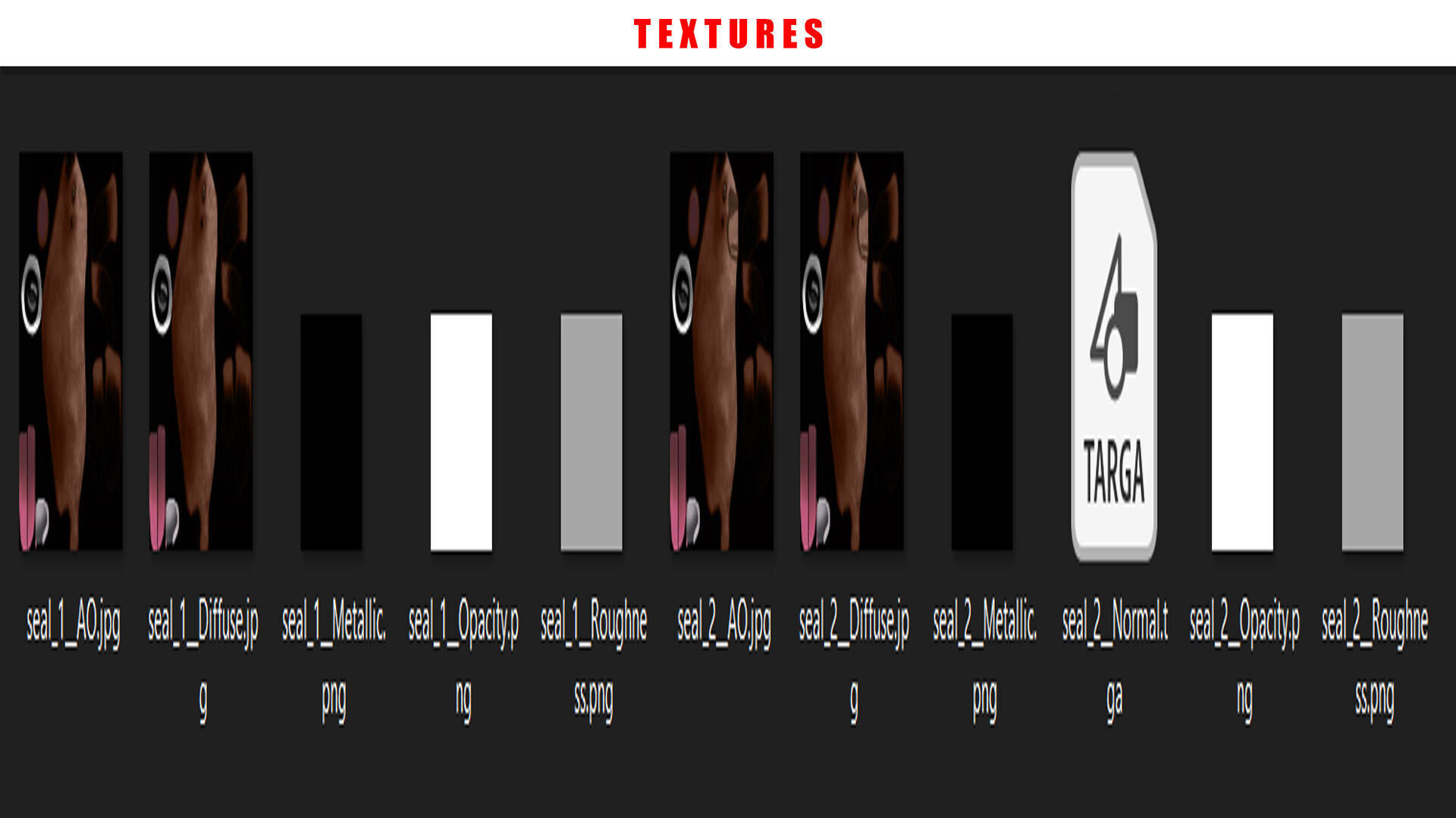 SEAL RIGGED ANIMATED 3 Low-poly 3D model_12