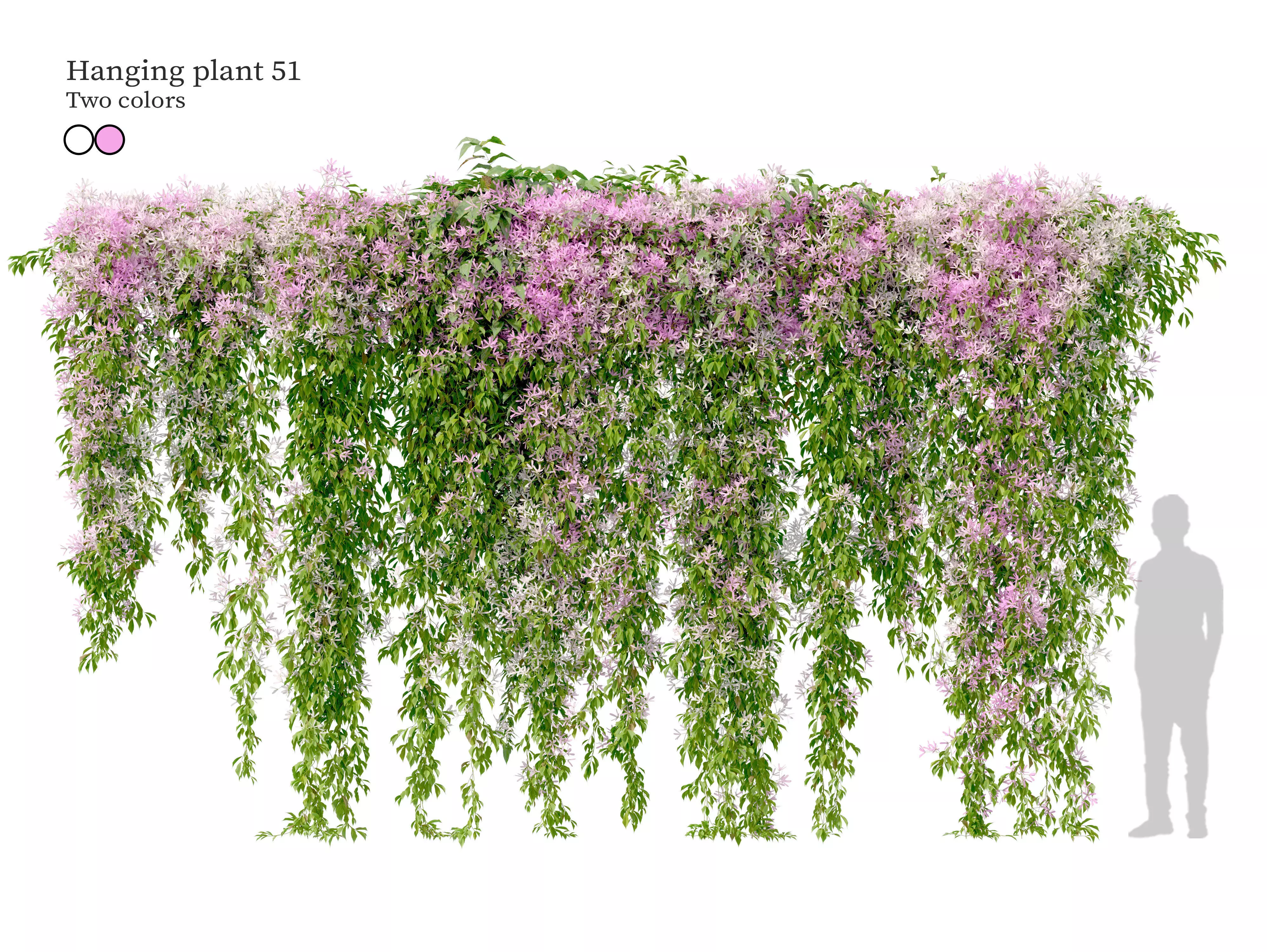 Hanging plant 51 3D model