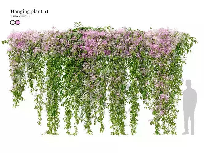 Hanging plant 51