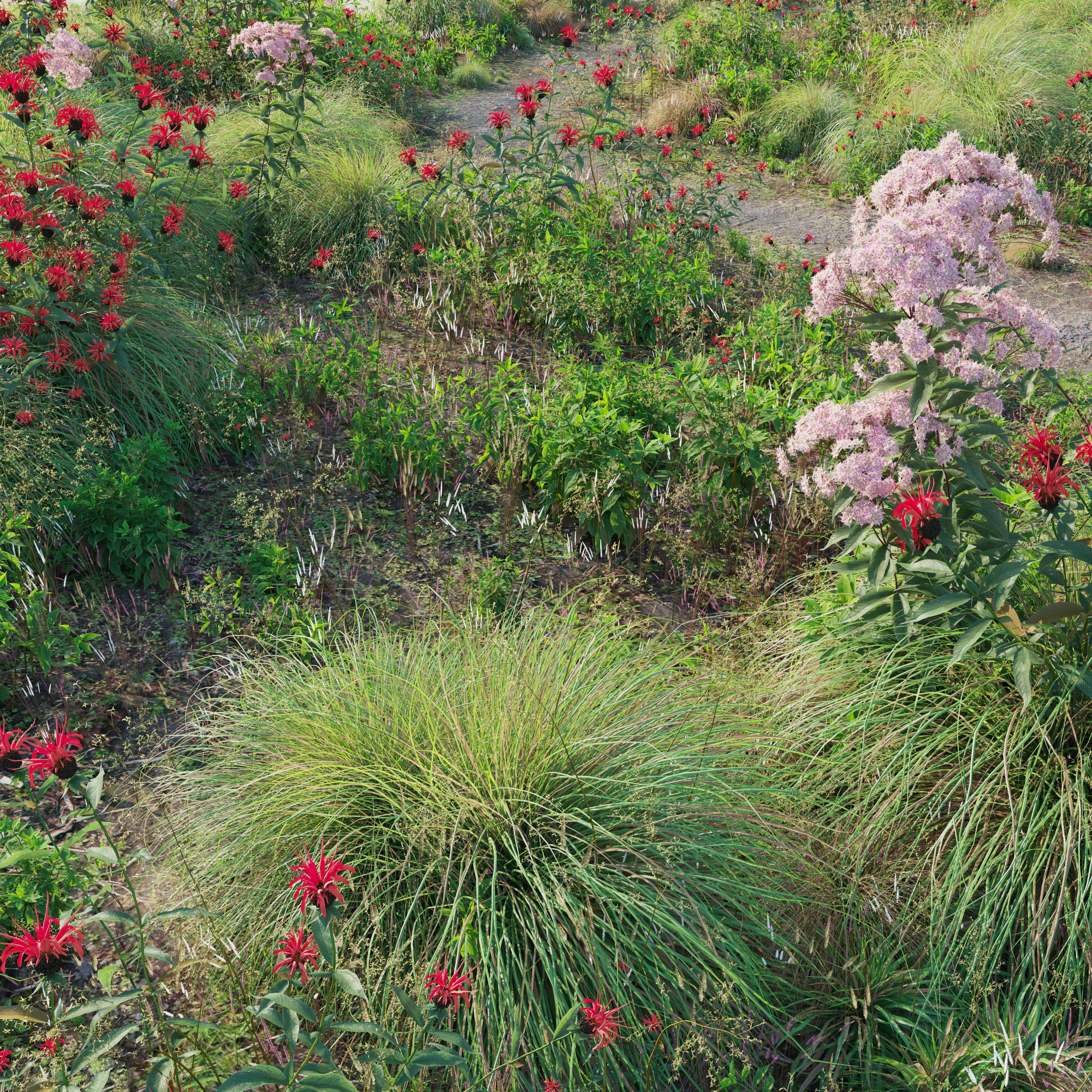 Meadow 27 3D model_0