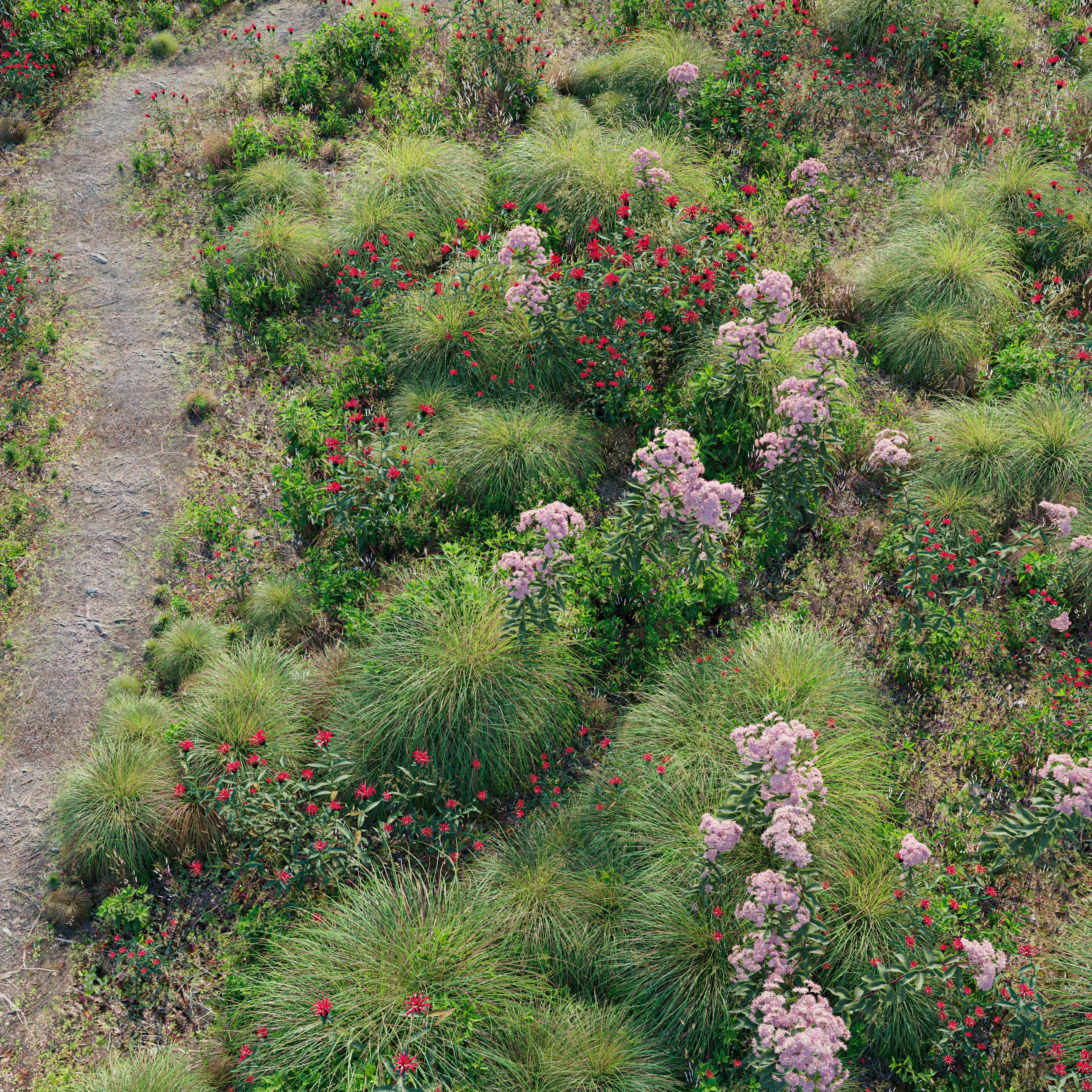 Meadow 27 3D model_4