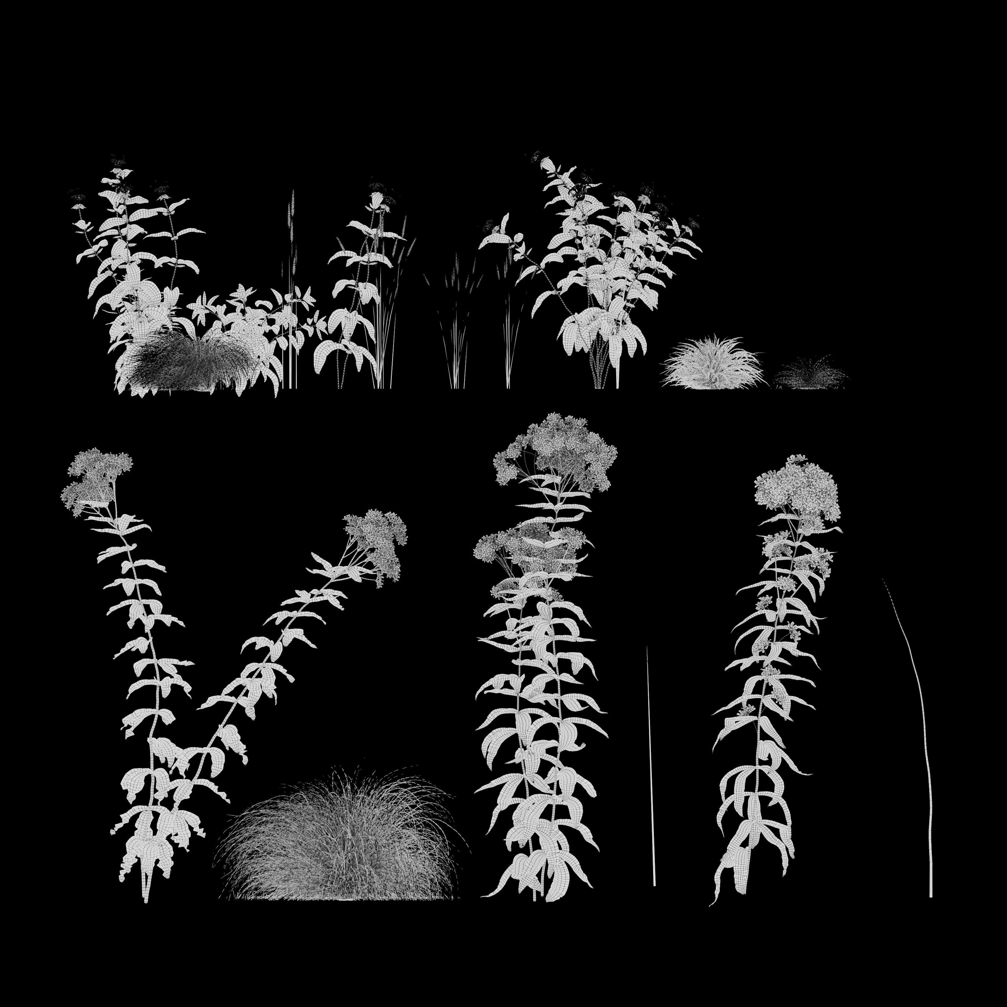 Meadow 27 3D model_5