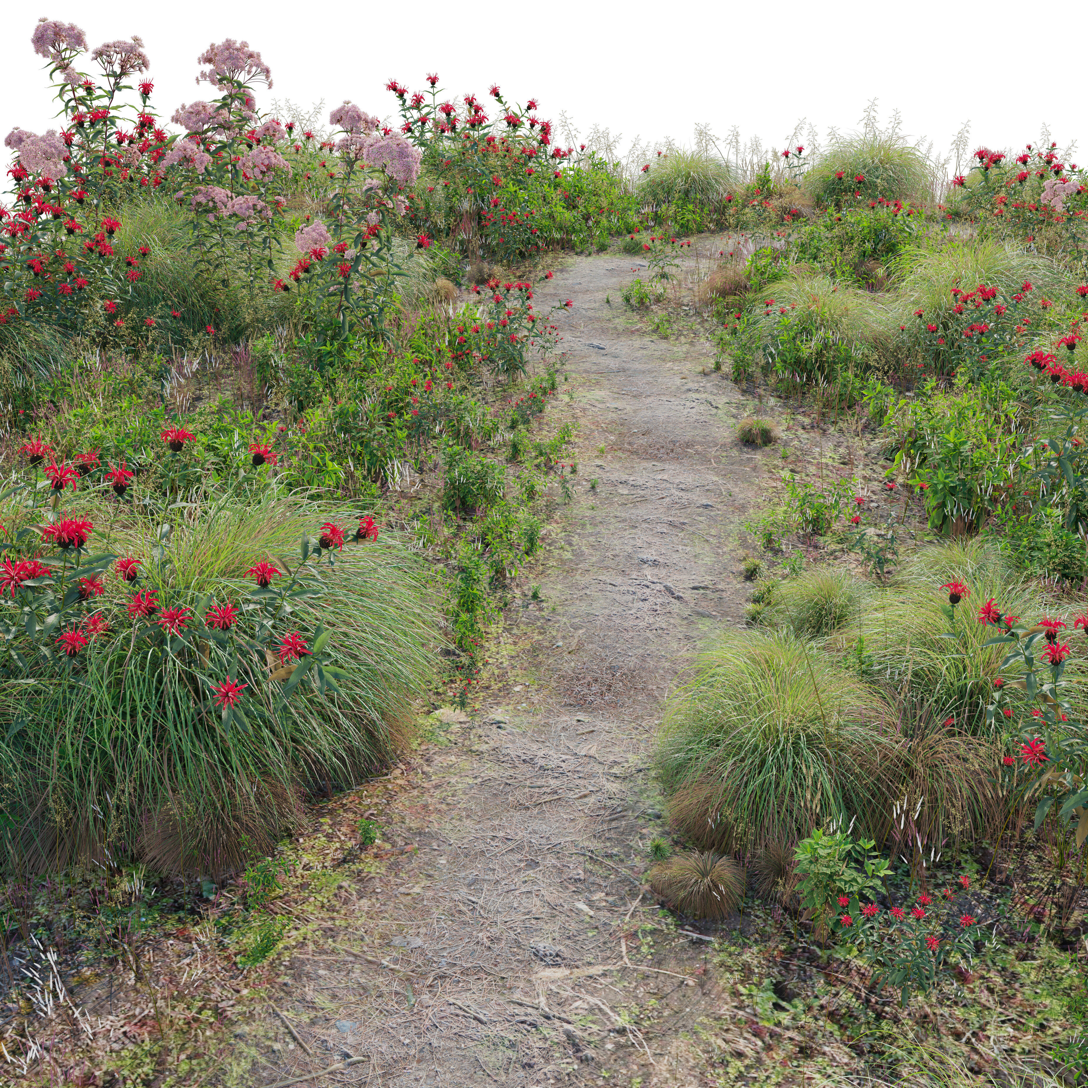 Meadow 27 3D model_3