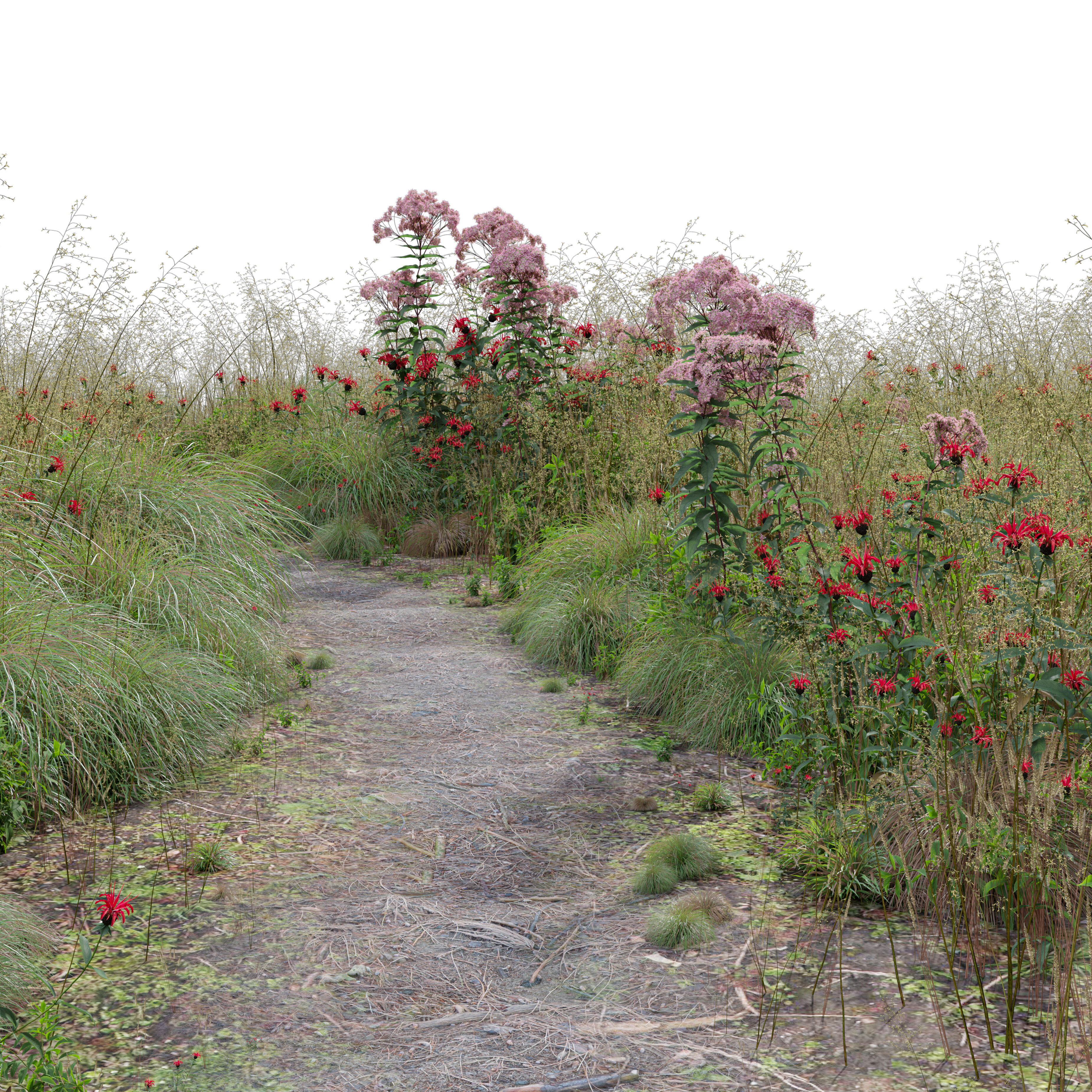 Meadow 27 3D model_2