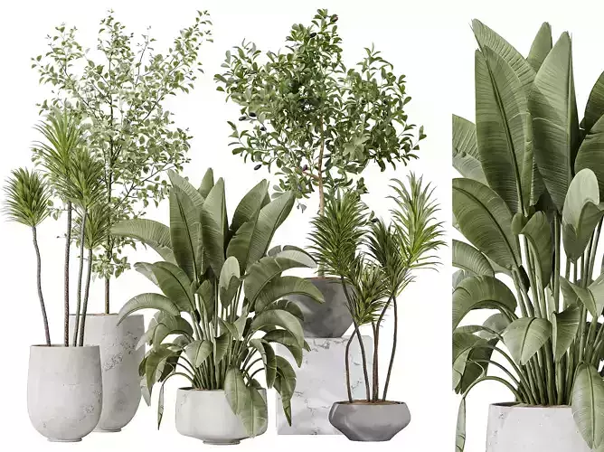 AV Indoor plants set 203