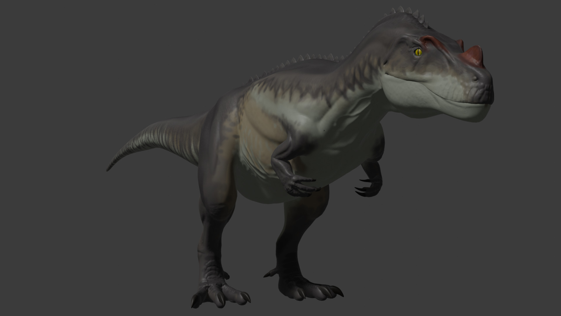Ceratosaurus Dinosaur model Free 3D model_6