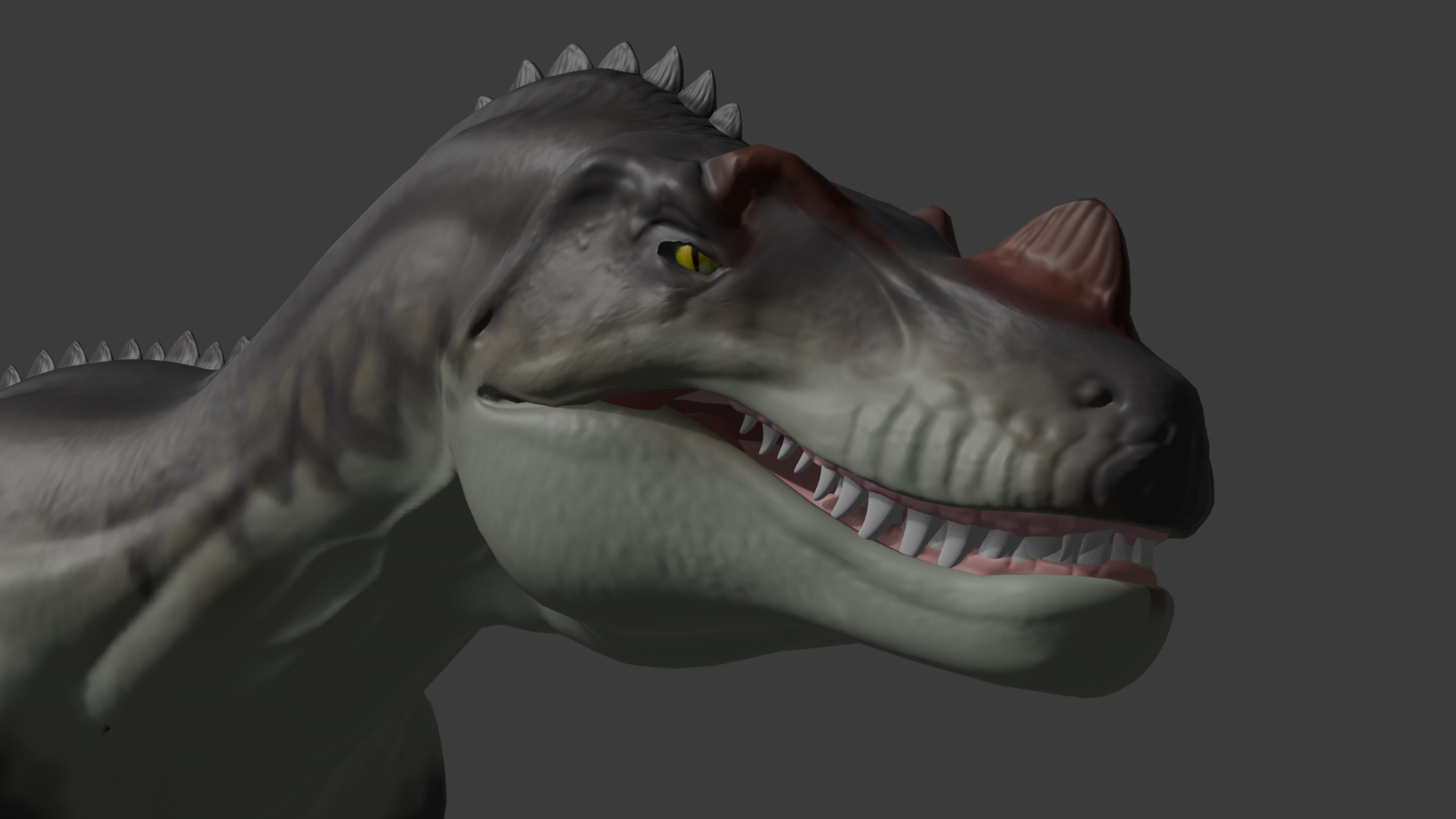 Ceratosaurus Dinosaur model Free 3D model_5