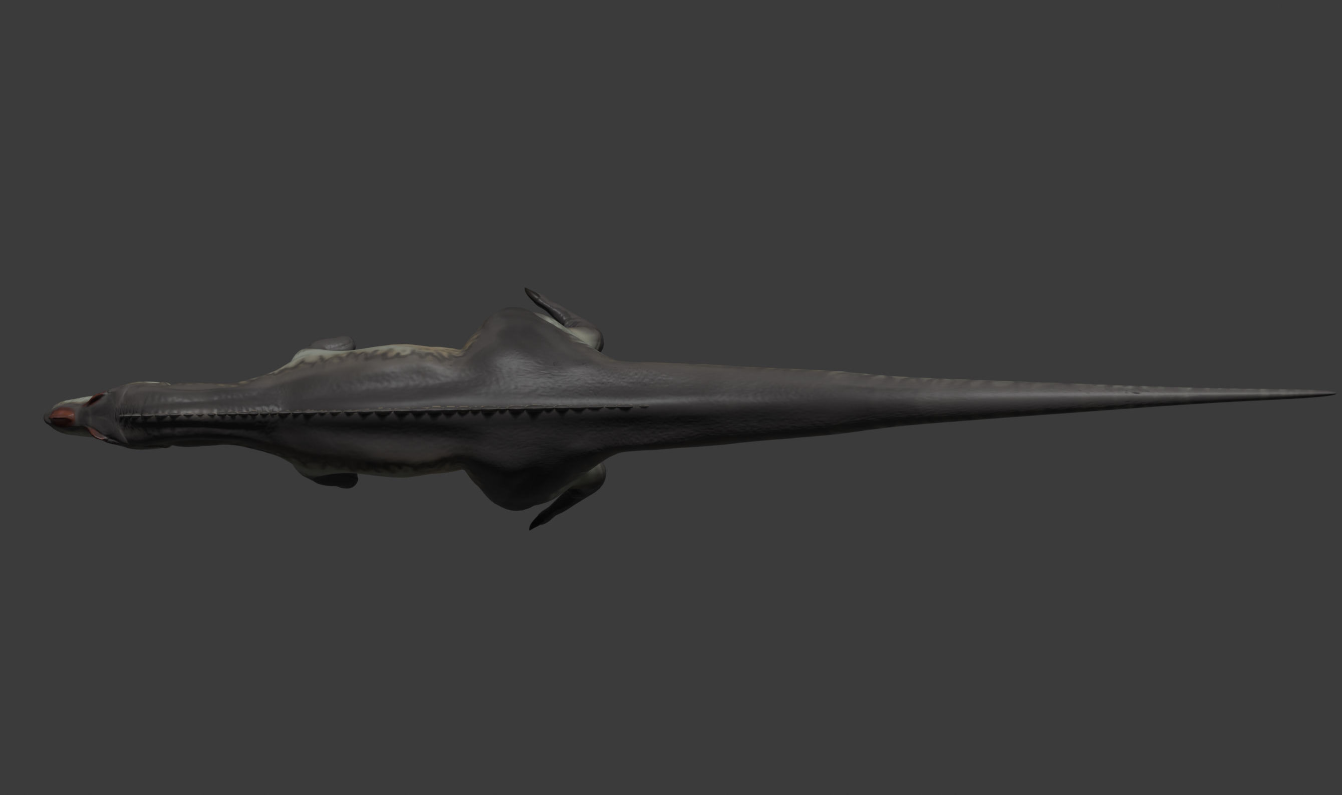 Ceratosaurus Dinosaur model Free 3D model_7