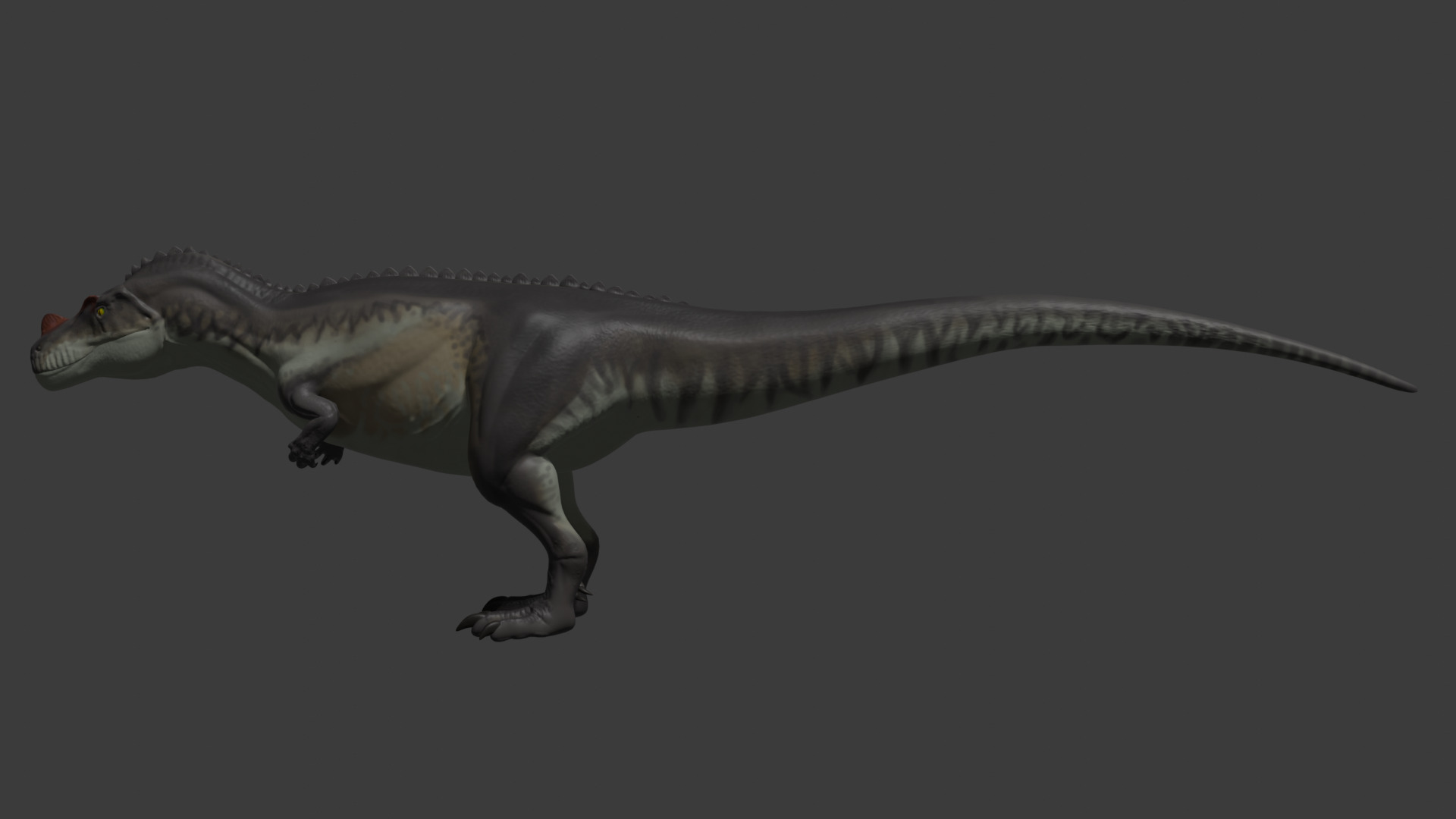 Ceratosaurus Dinosaur model Free 3D model_3